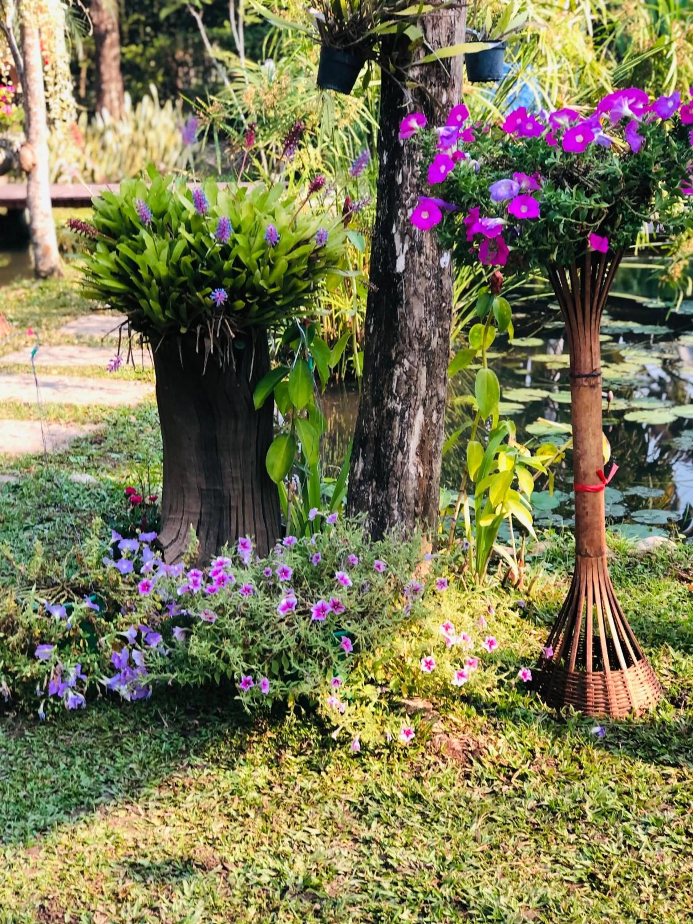 Garden in Pura Vida Pai Resort