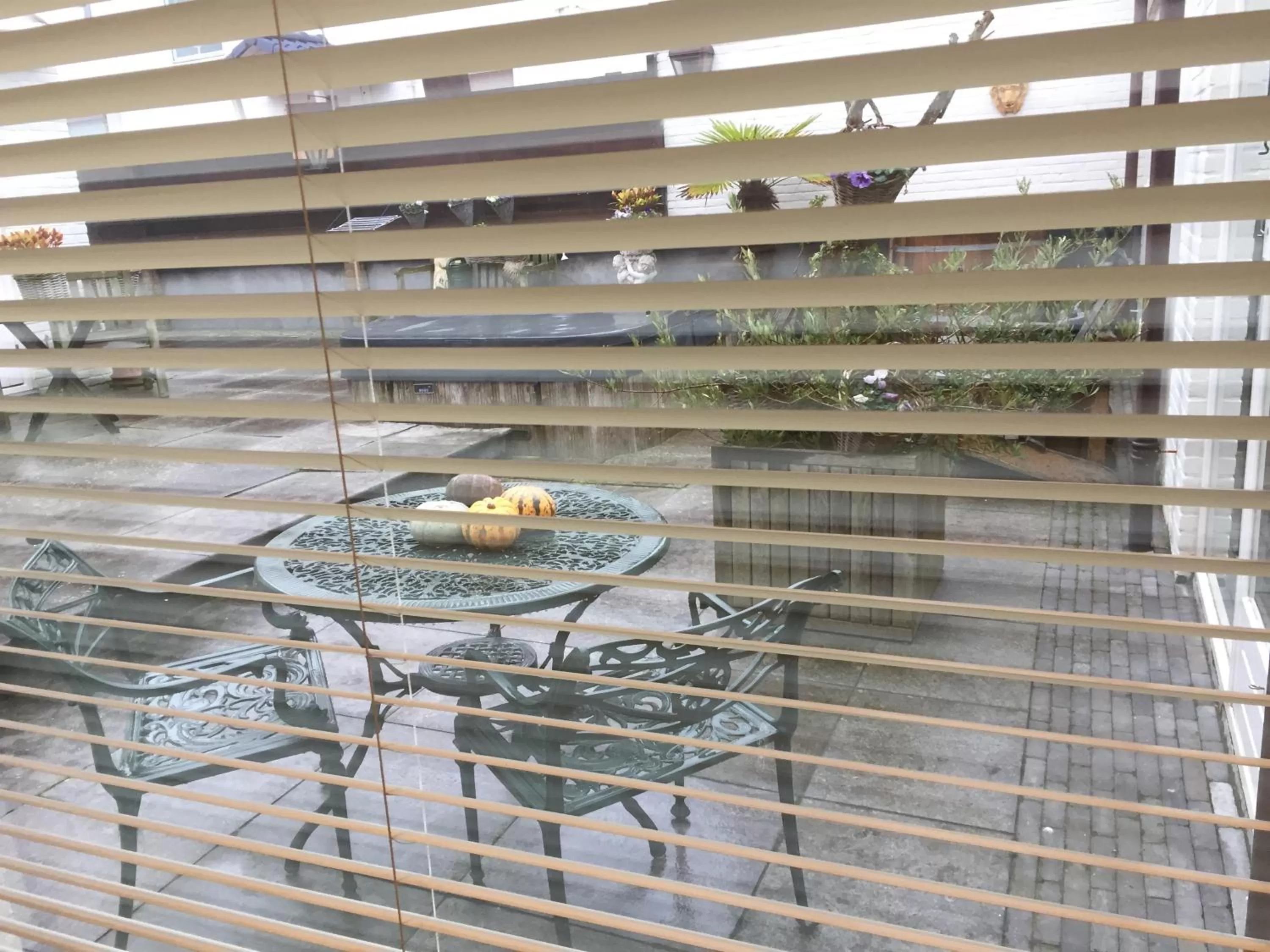 Other Animals in Duynsandt