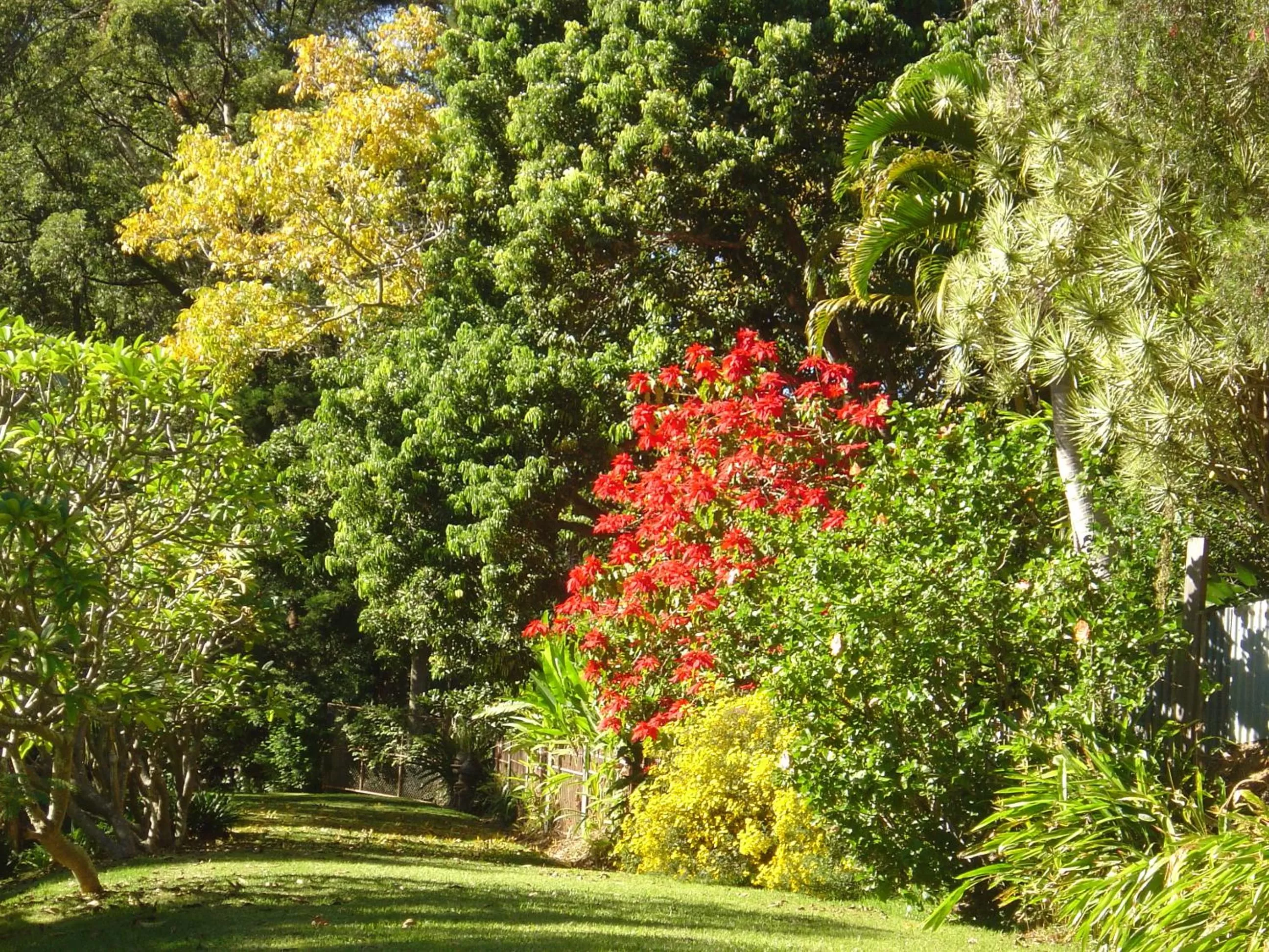 Garden view, Garden in Sensom Luxury Boutique Bed and Breakfast