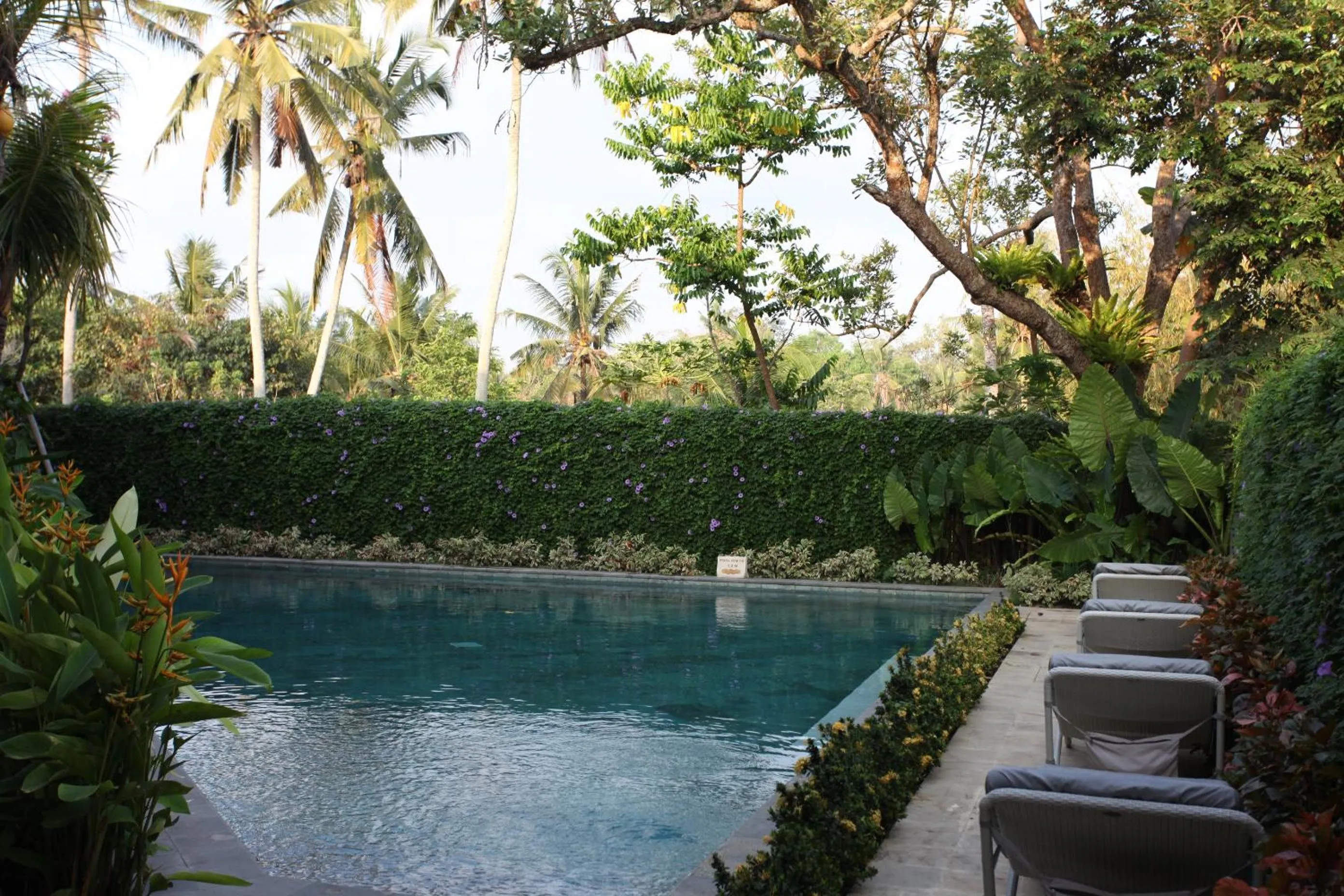 Swimming pool in Ubud Wana Resort