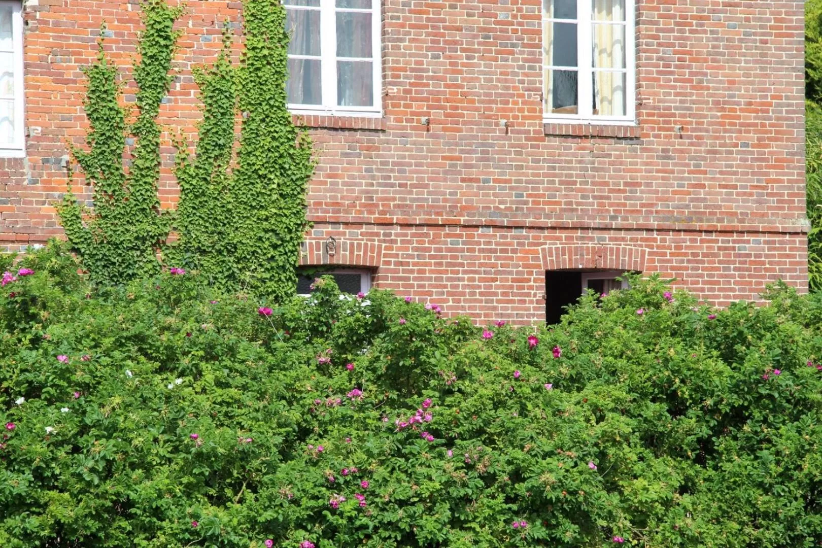 Le Pommenial de la Hérissonnière