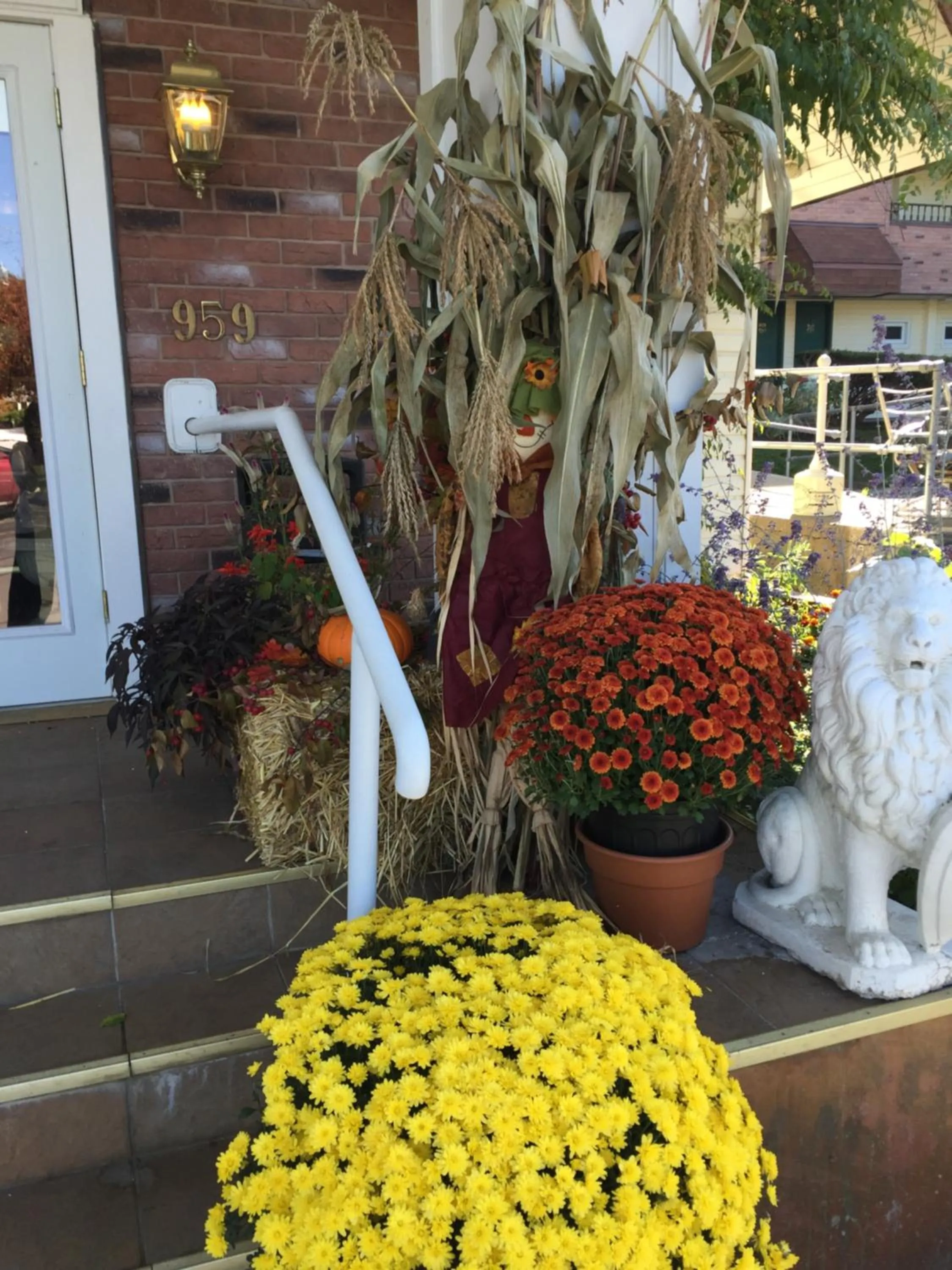 Facade/entrance in The Black Mountain Inn