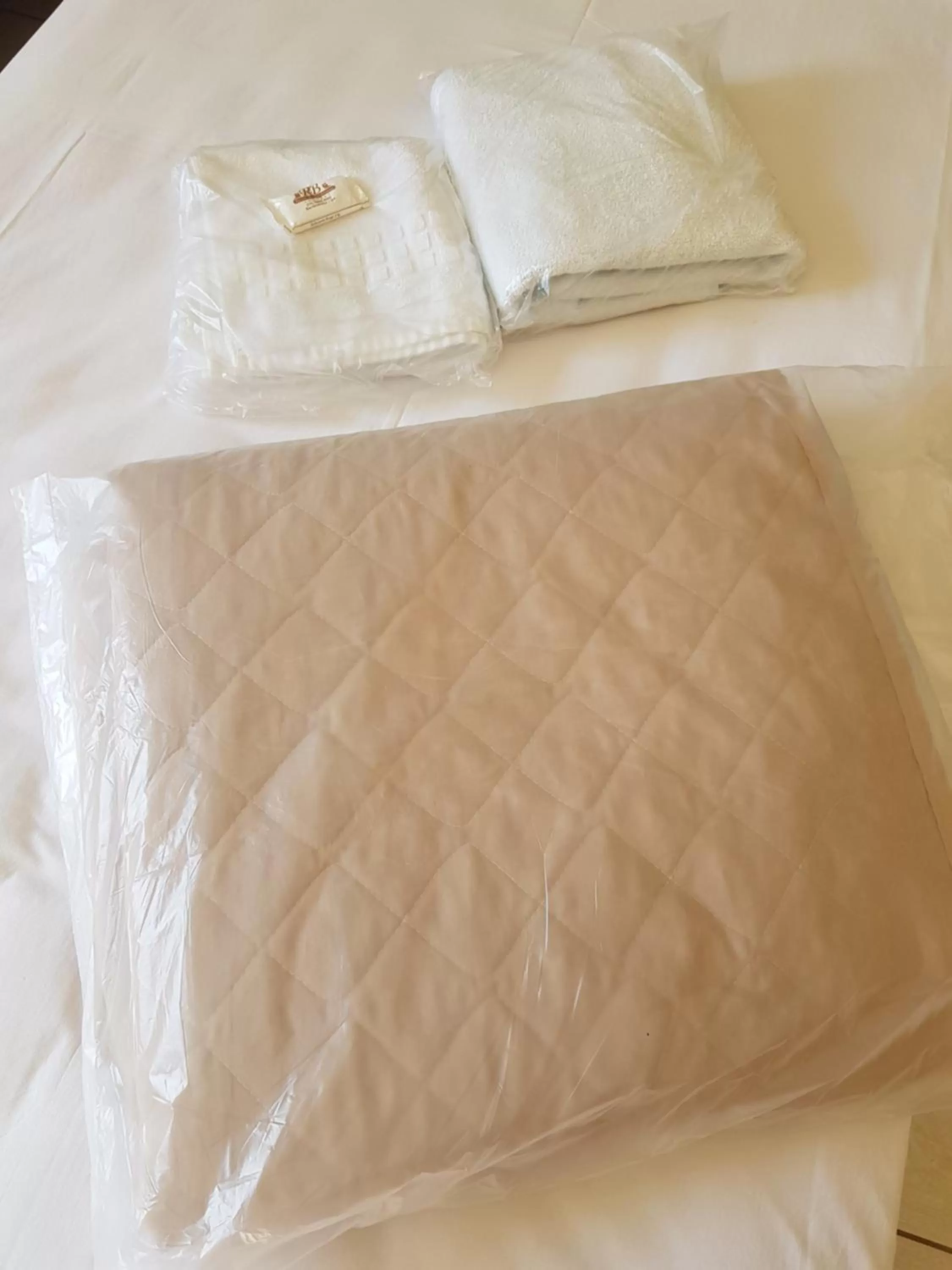 Other, Bed in Hotel Recreio dos Bandeirantes