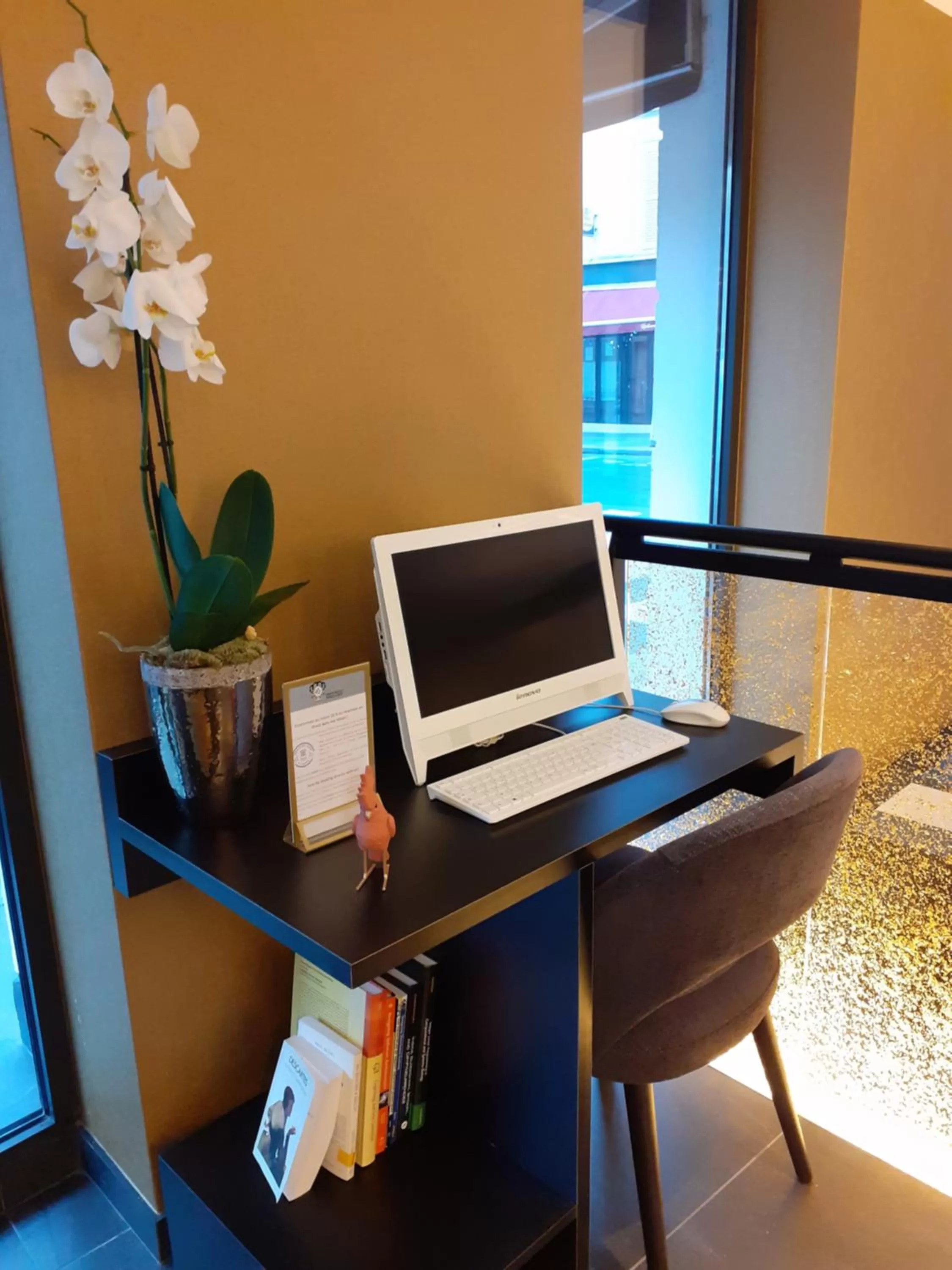 TV and multimedia in Prince Albert Lyon Bercy