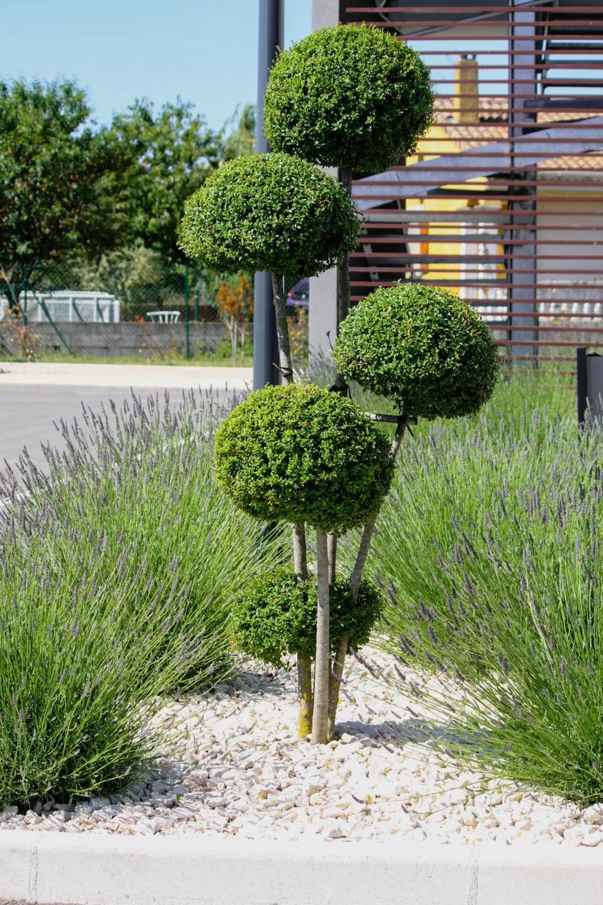 Garden in B&B HOTEL Valence TGV Romans