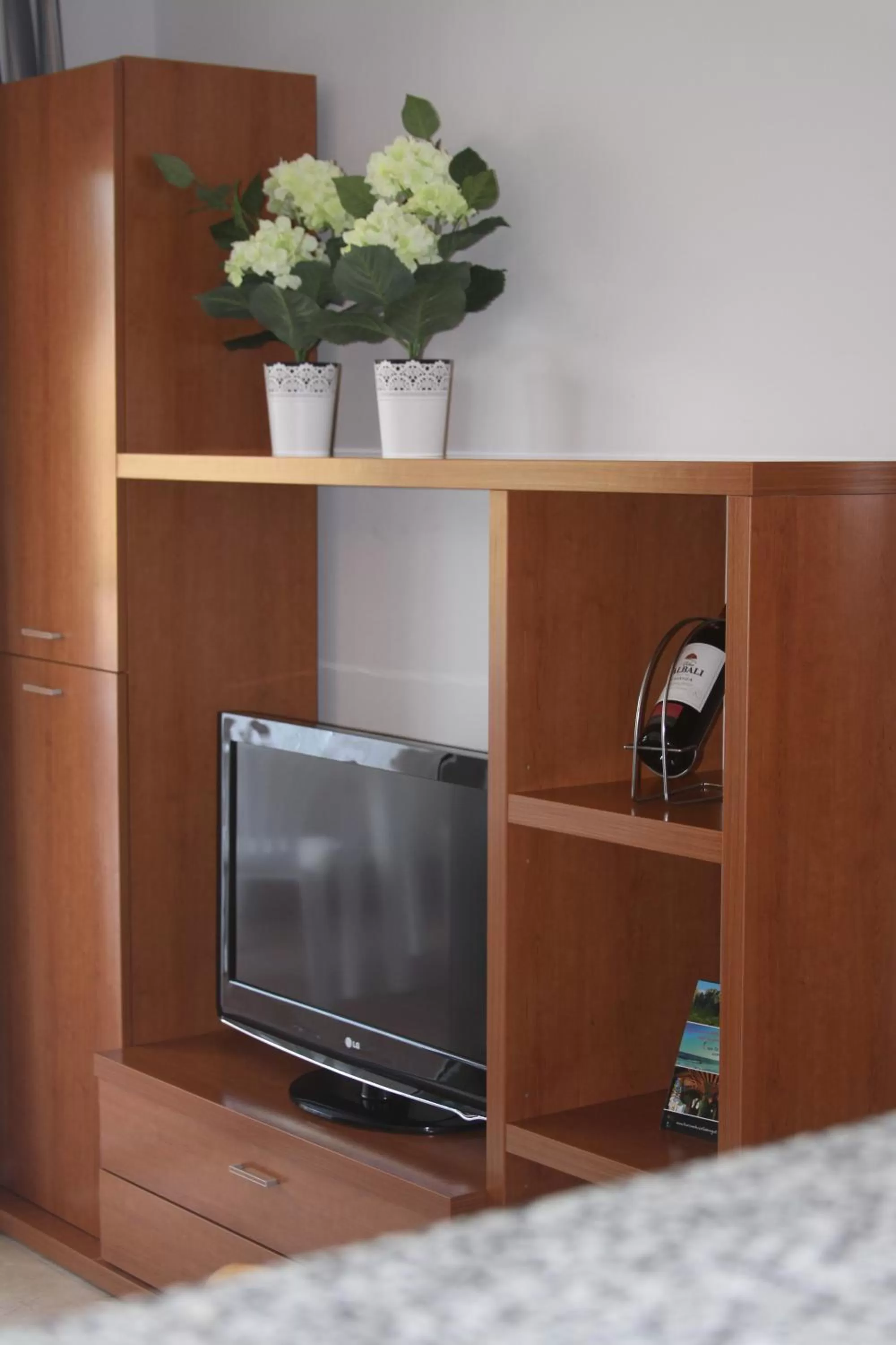 TV and multimedia in Aparthotel Marsol