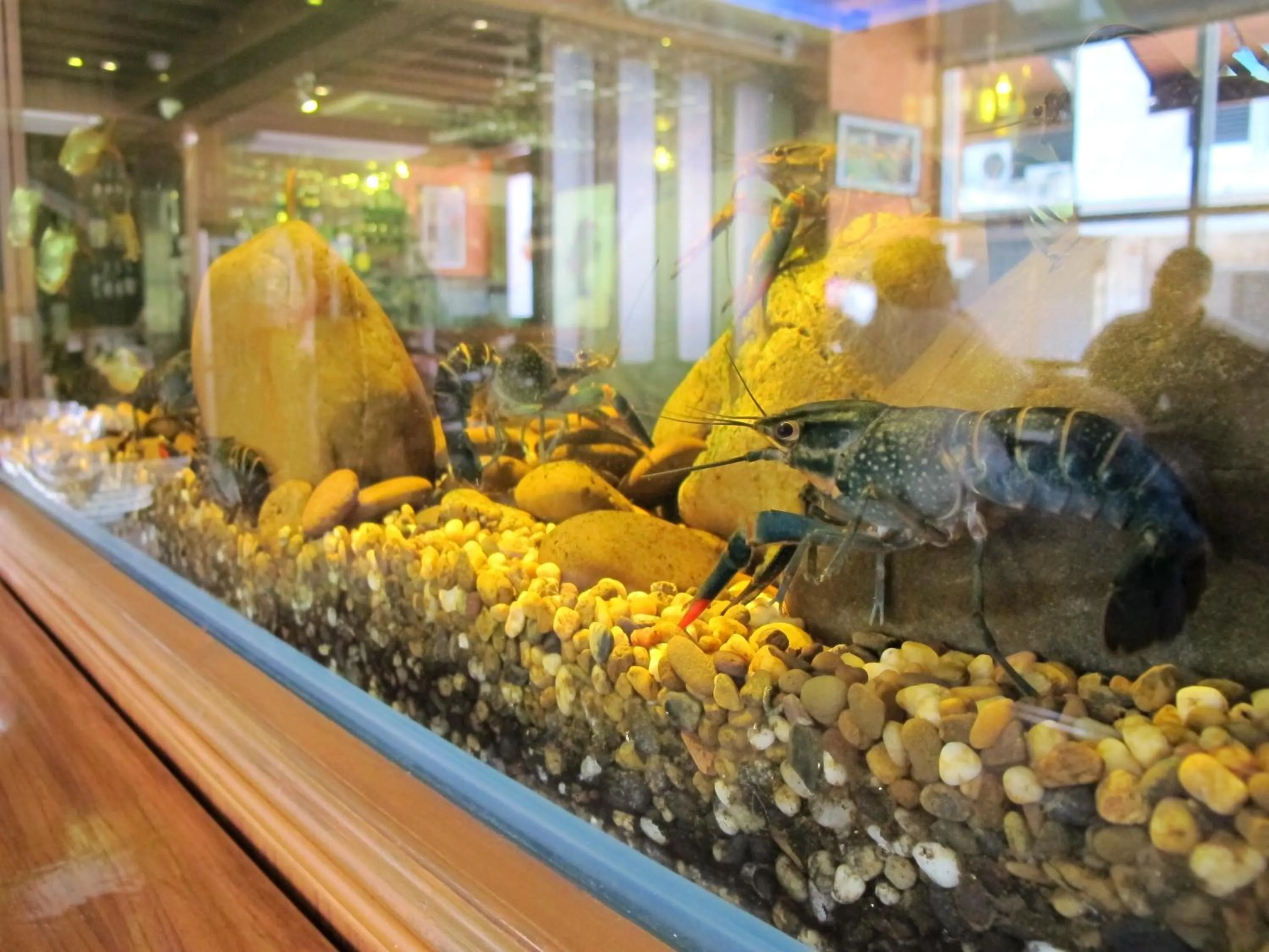 Bourbon St. Boutique Hotel