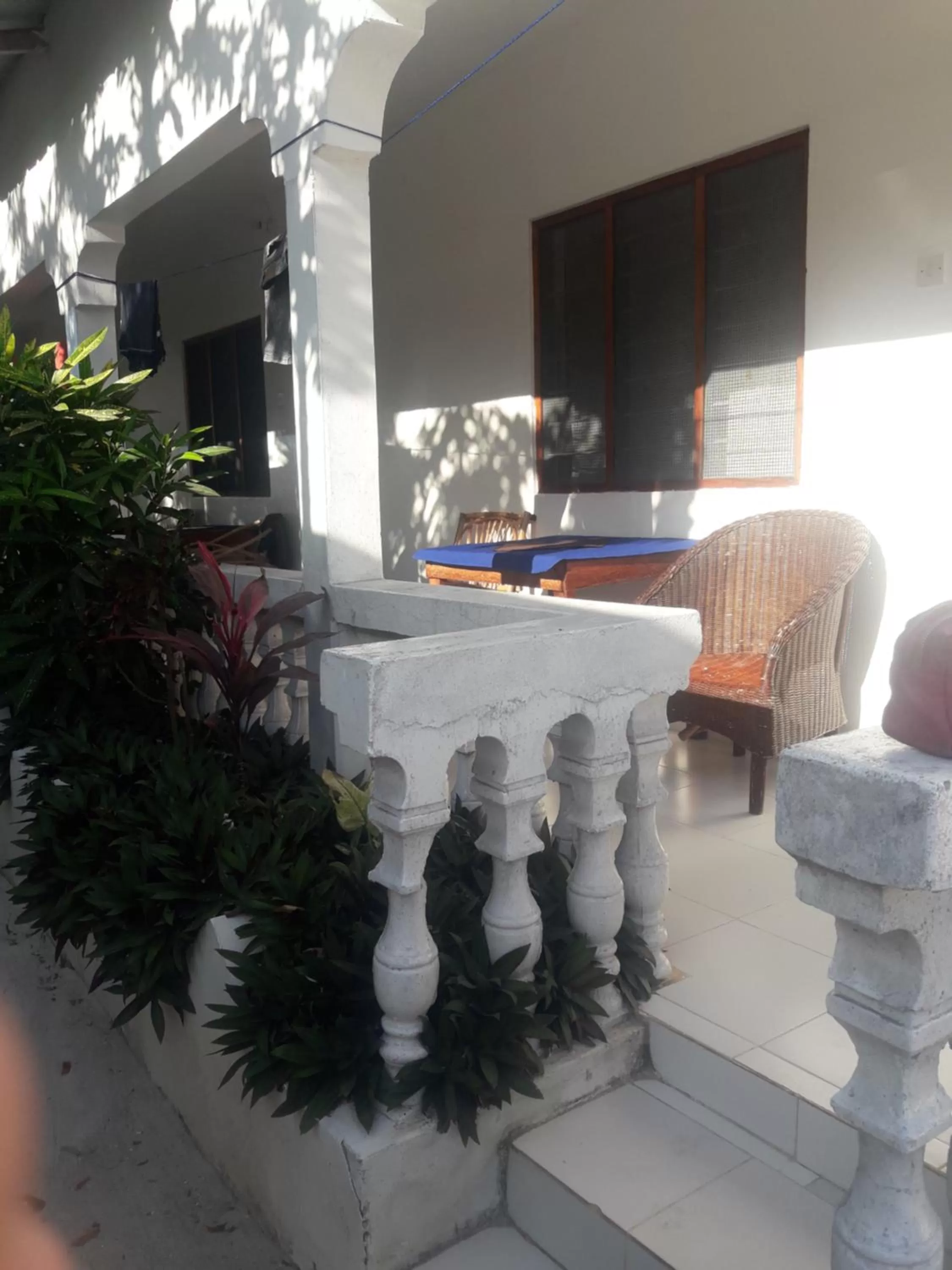 Garden view in Ebony & Ivory Beach Bungalows