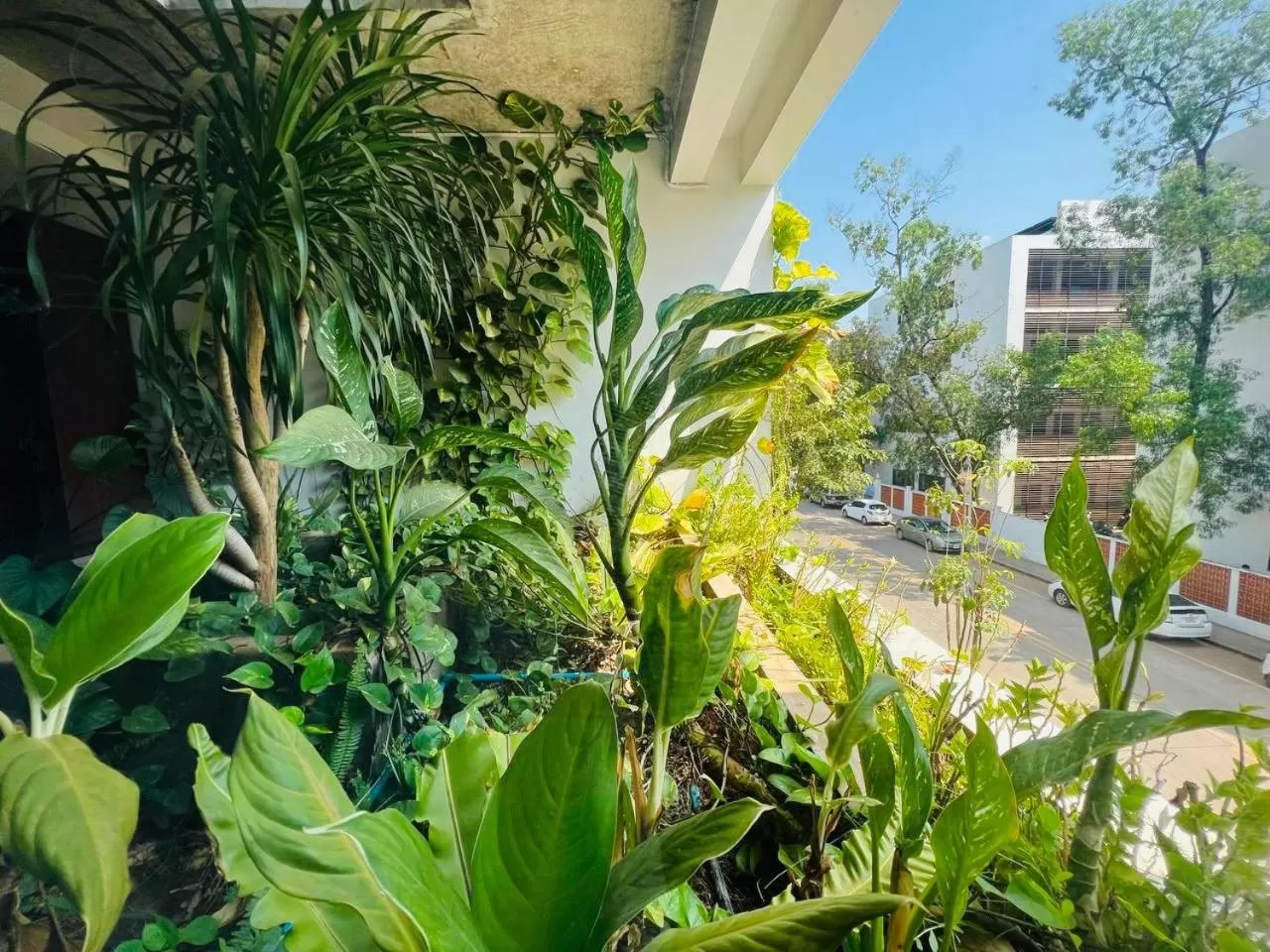 Garden in UTEY Hotel