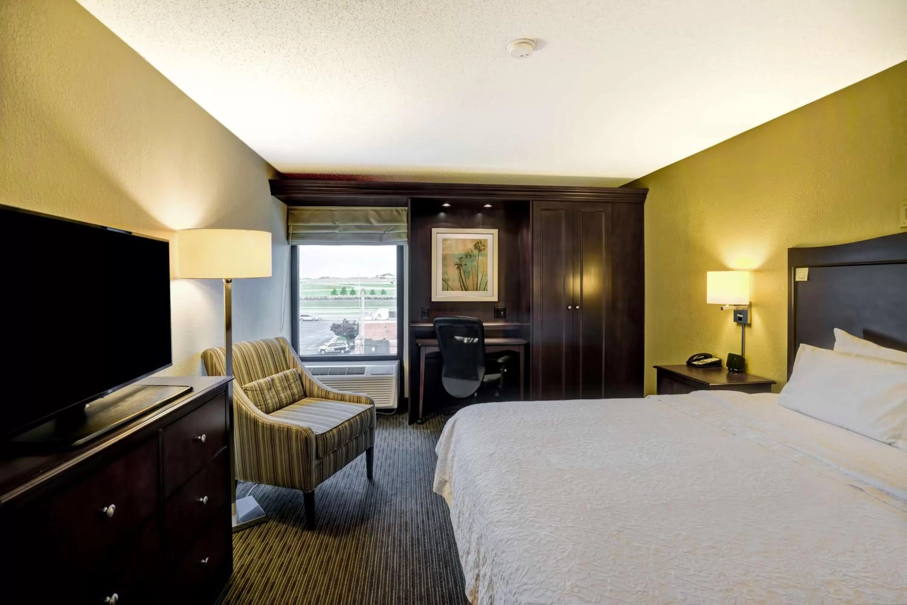  Double Room Mobility Access with Roll-In Shower - Non-Smoking in Hampton Inn Knoxville-Airport