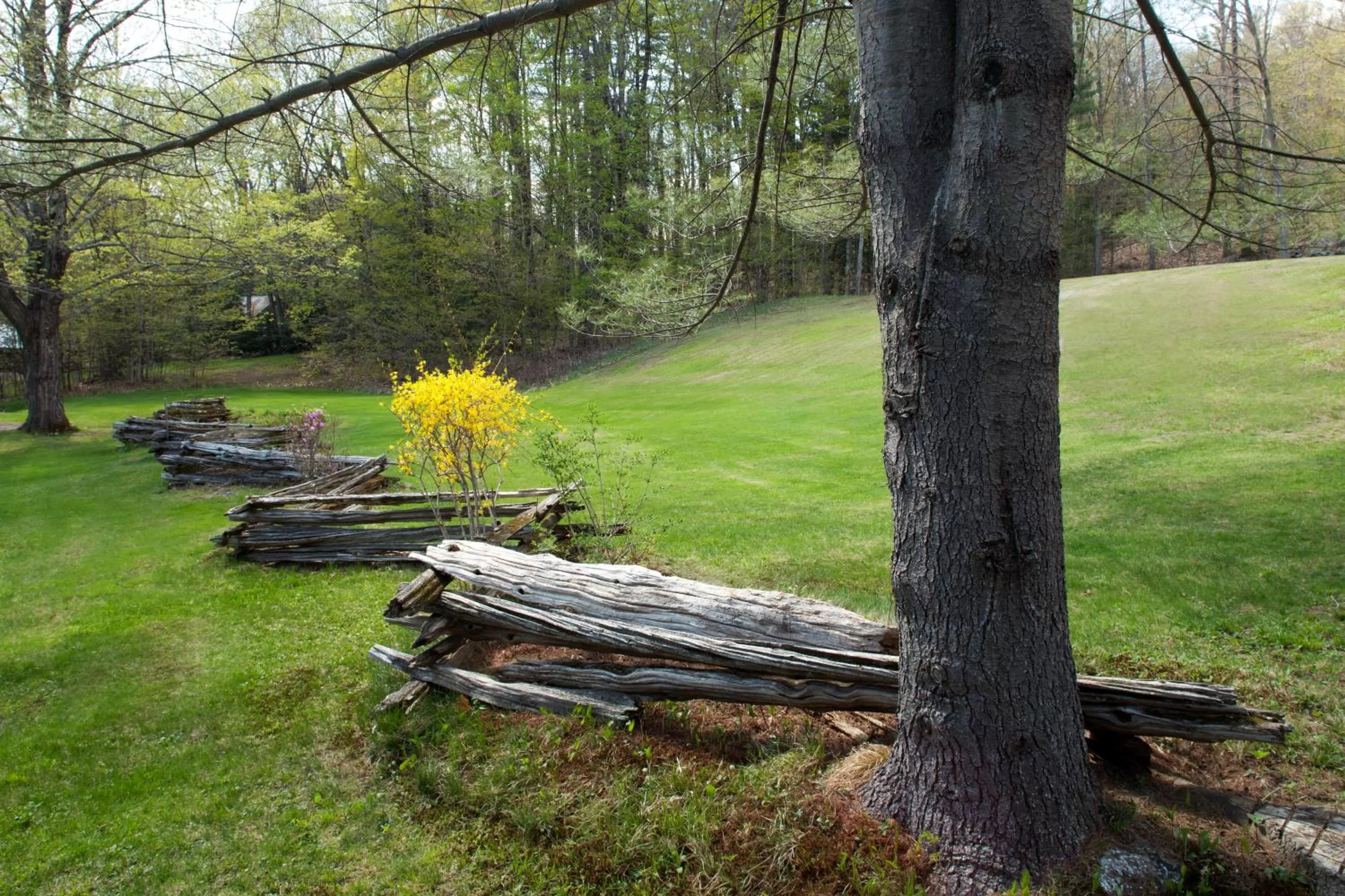 Natural landscape in Inn on Golden Pond