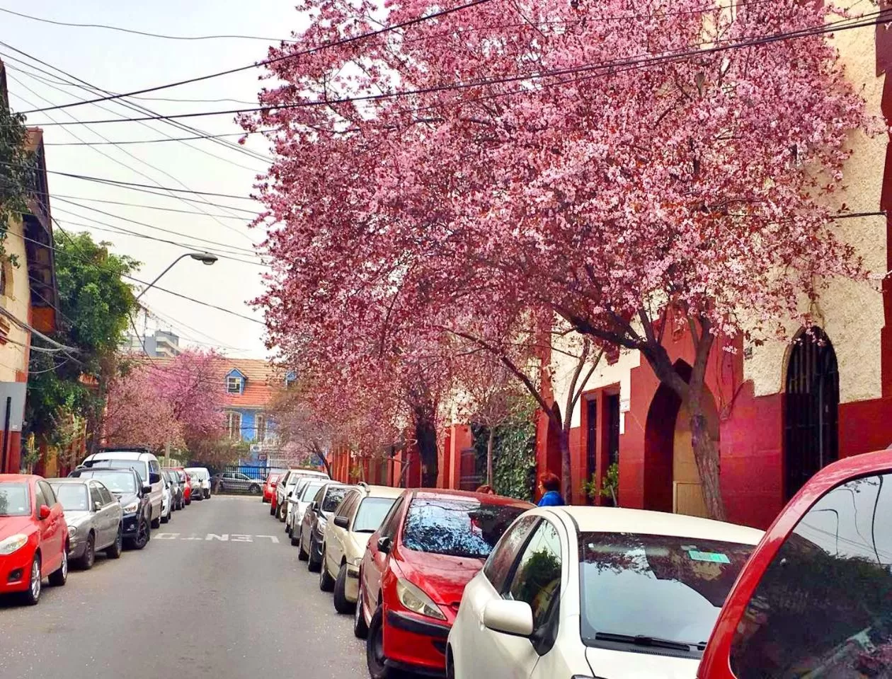 Spring in Tralkan B&B