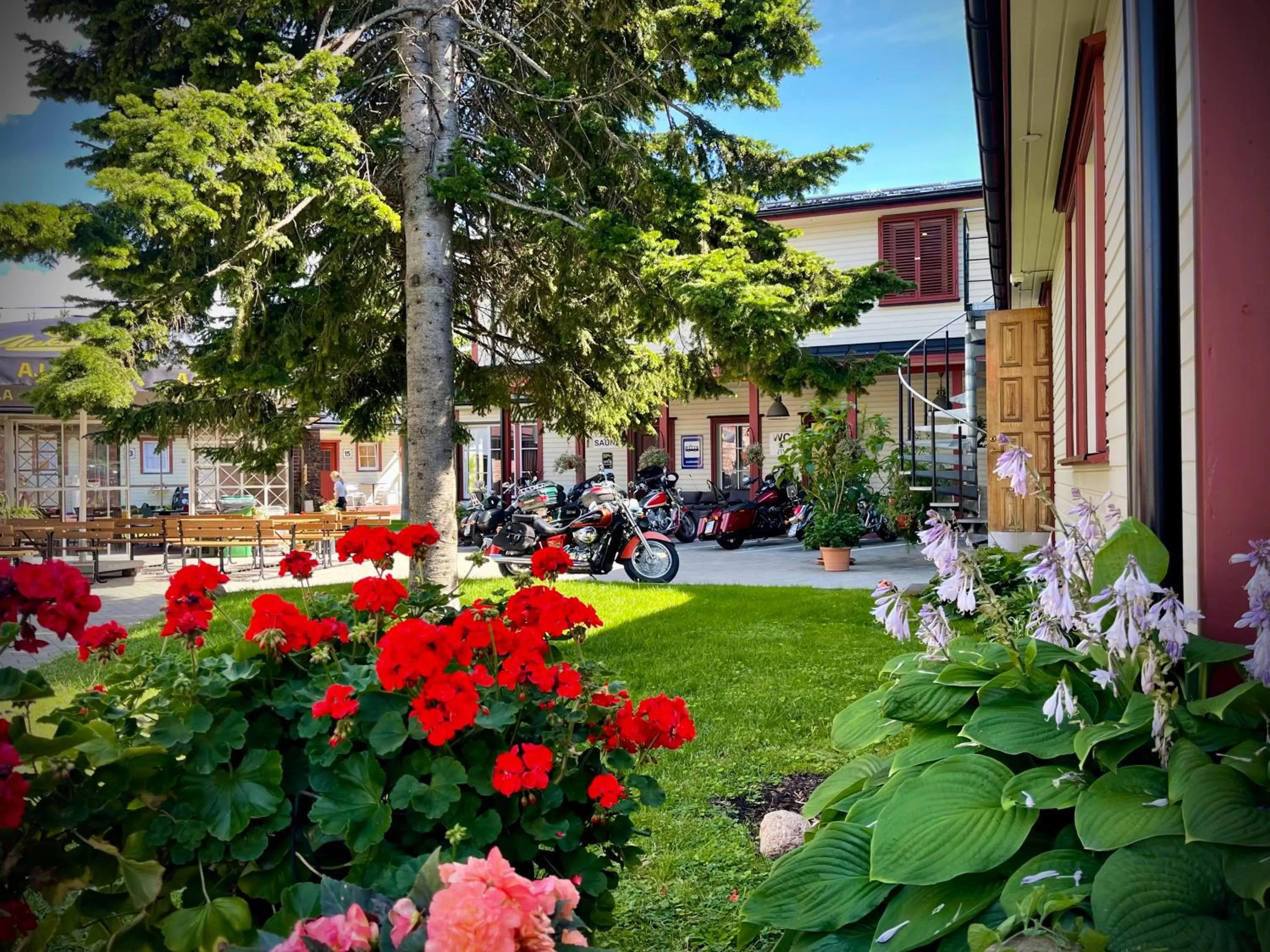 Day, Garden in Aleksandri Guesthouse