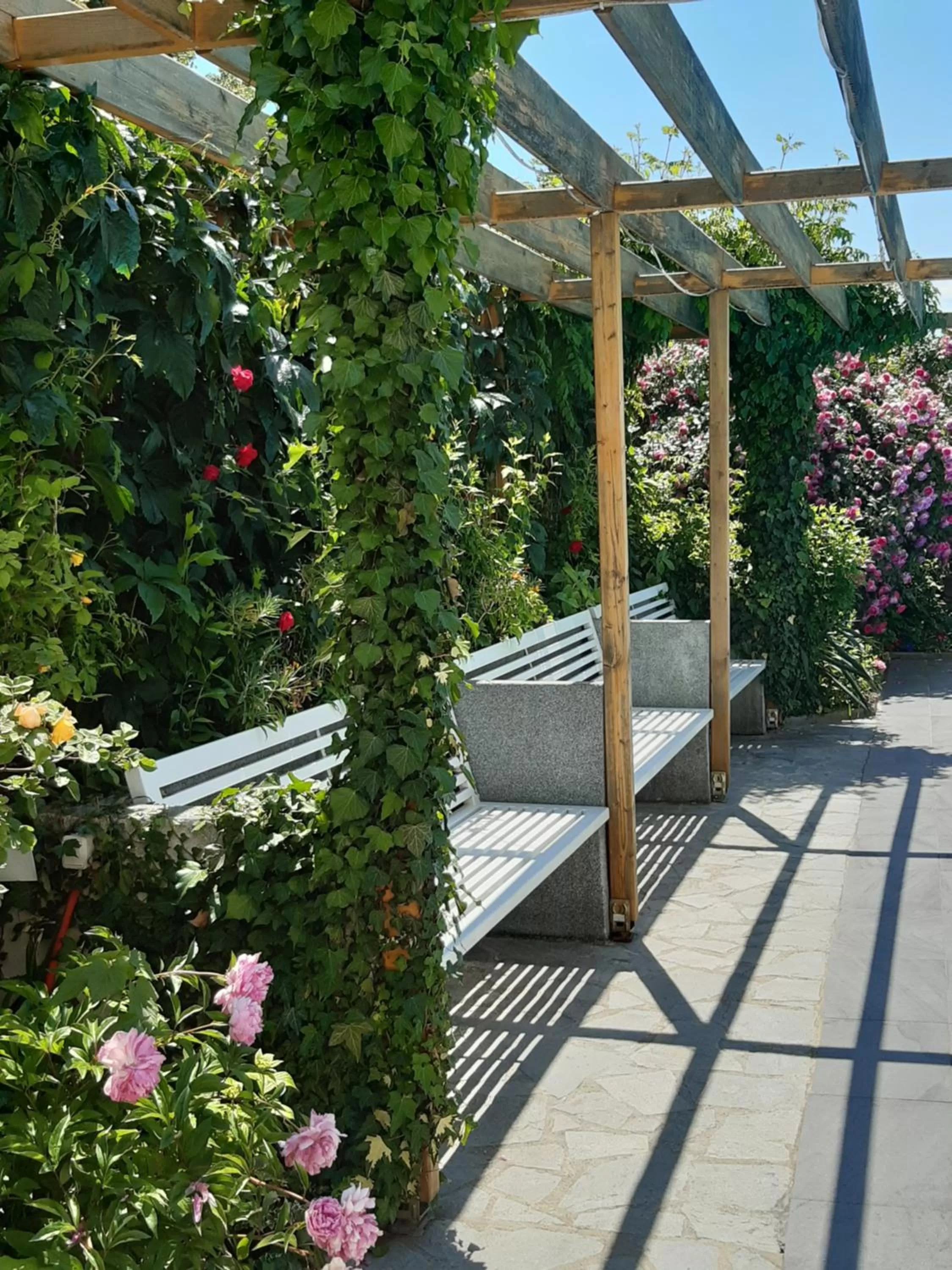 Garden in Villa Jordan