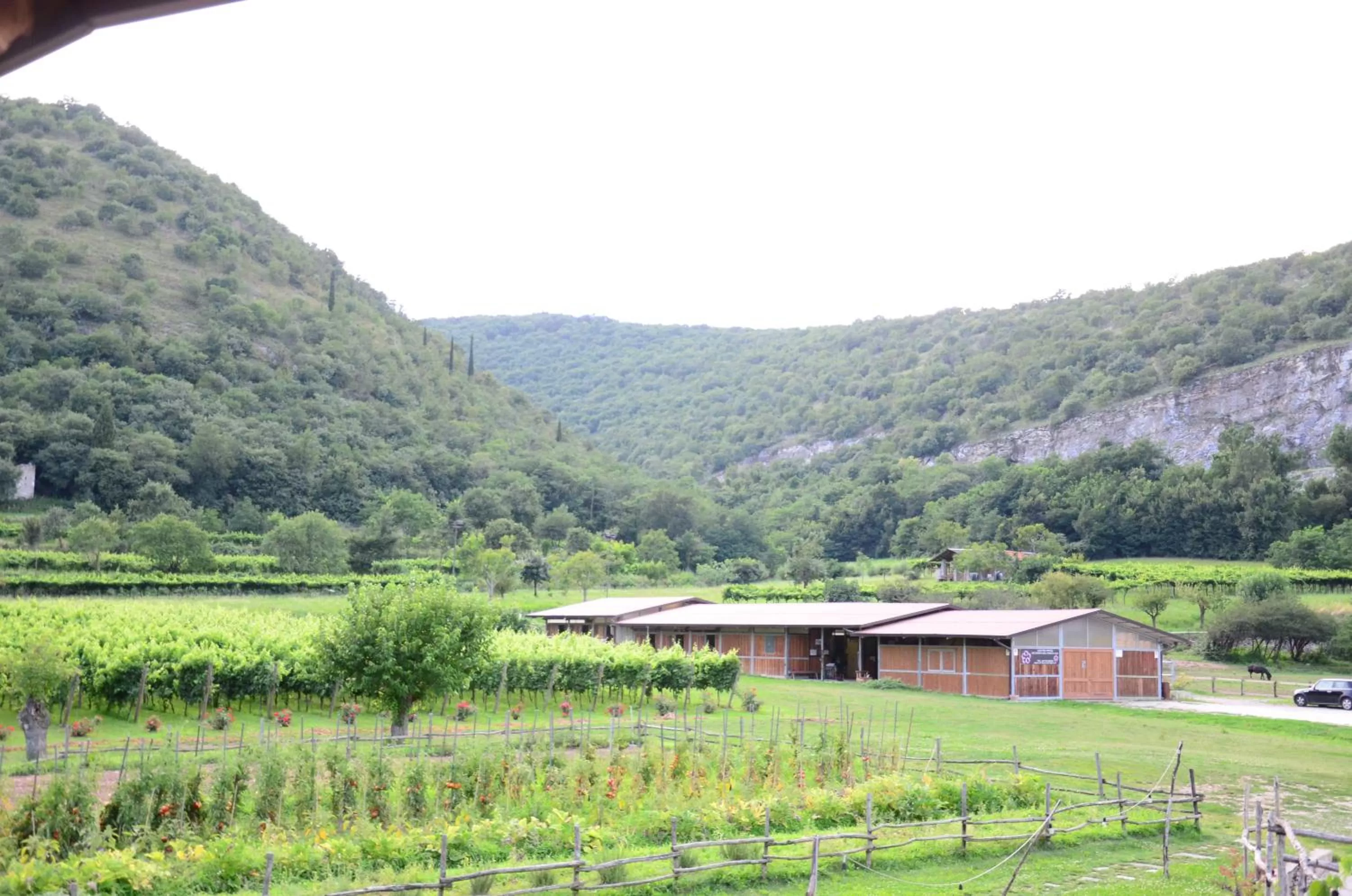 Day in Agriturismo Locanda Del Pesco