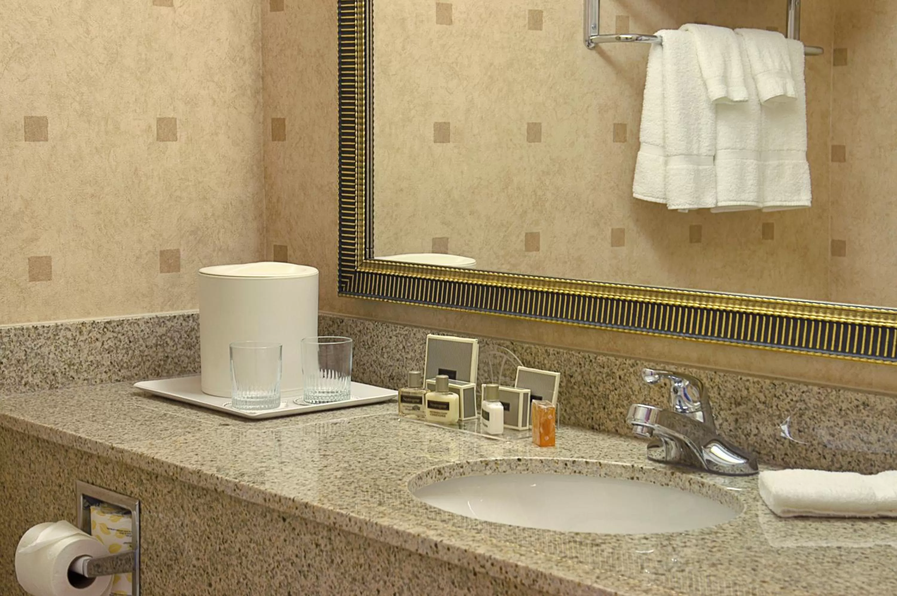 Deluxe Queen Room - Disability Access/Non-Smoking in Wingate By Wyndham - Warner Robins