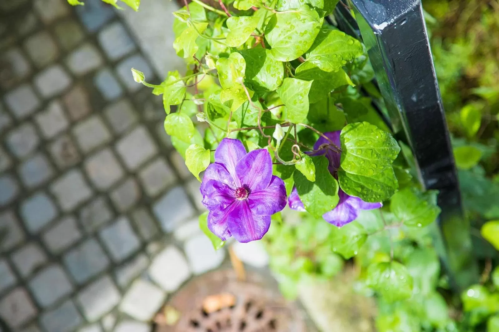 On site in Stavanger Housing Hotel