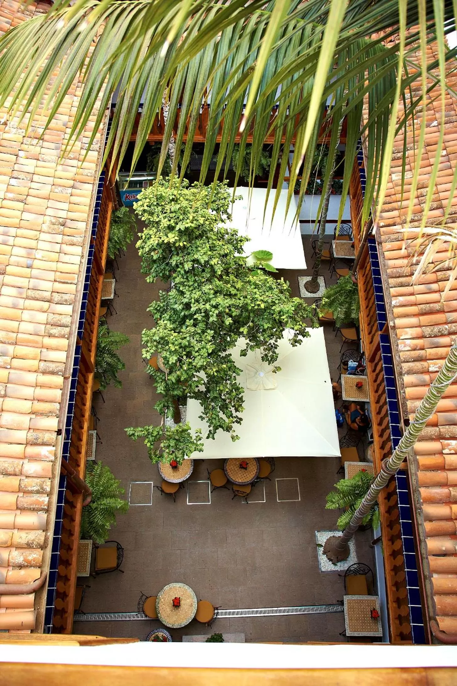 Patio in Hotel Emblemático San Agustin
