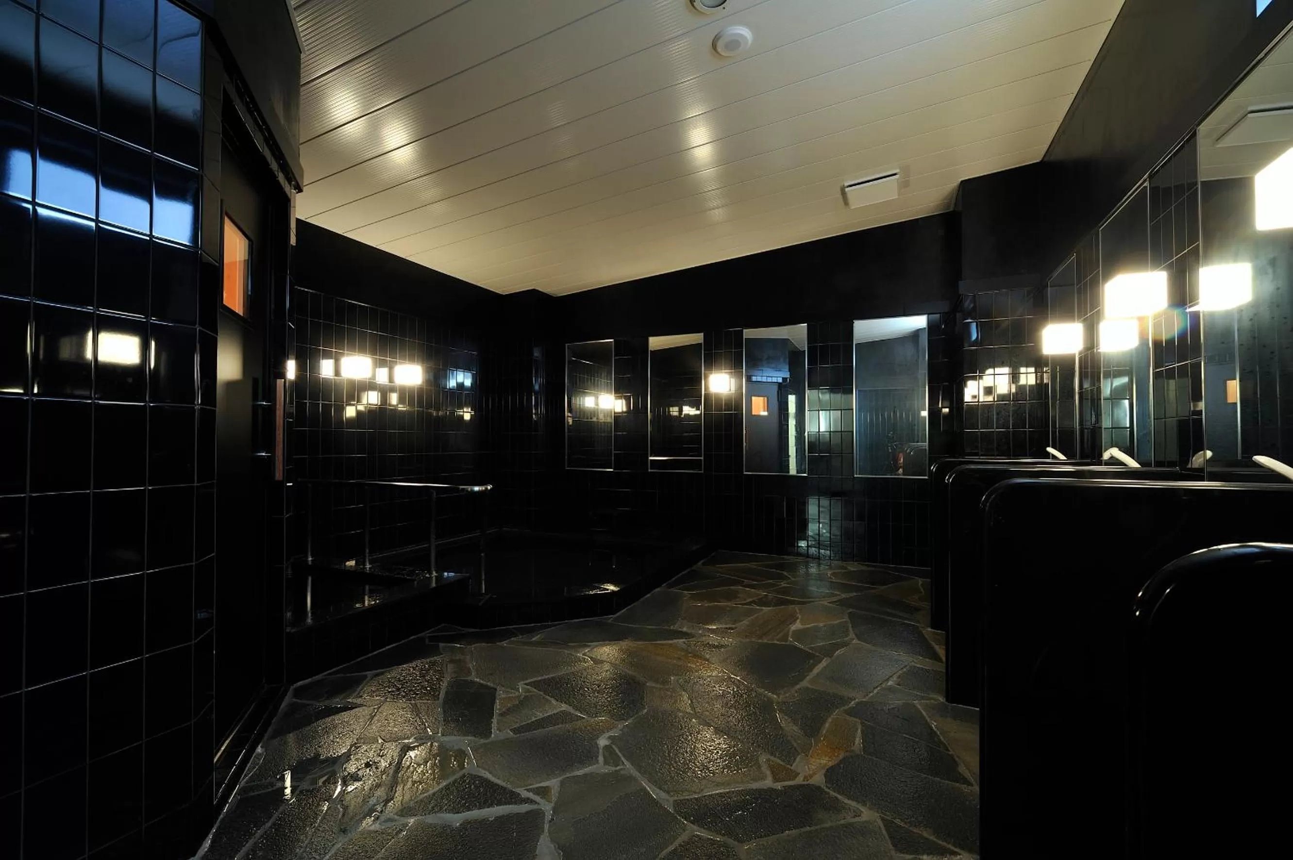 Public Bath in Green Rich Hotel Iwakuni Ekimae (Artificial hot spring Futamata Yunohana)