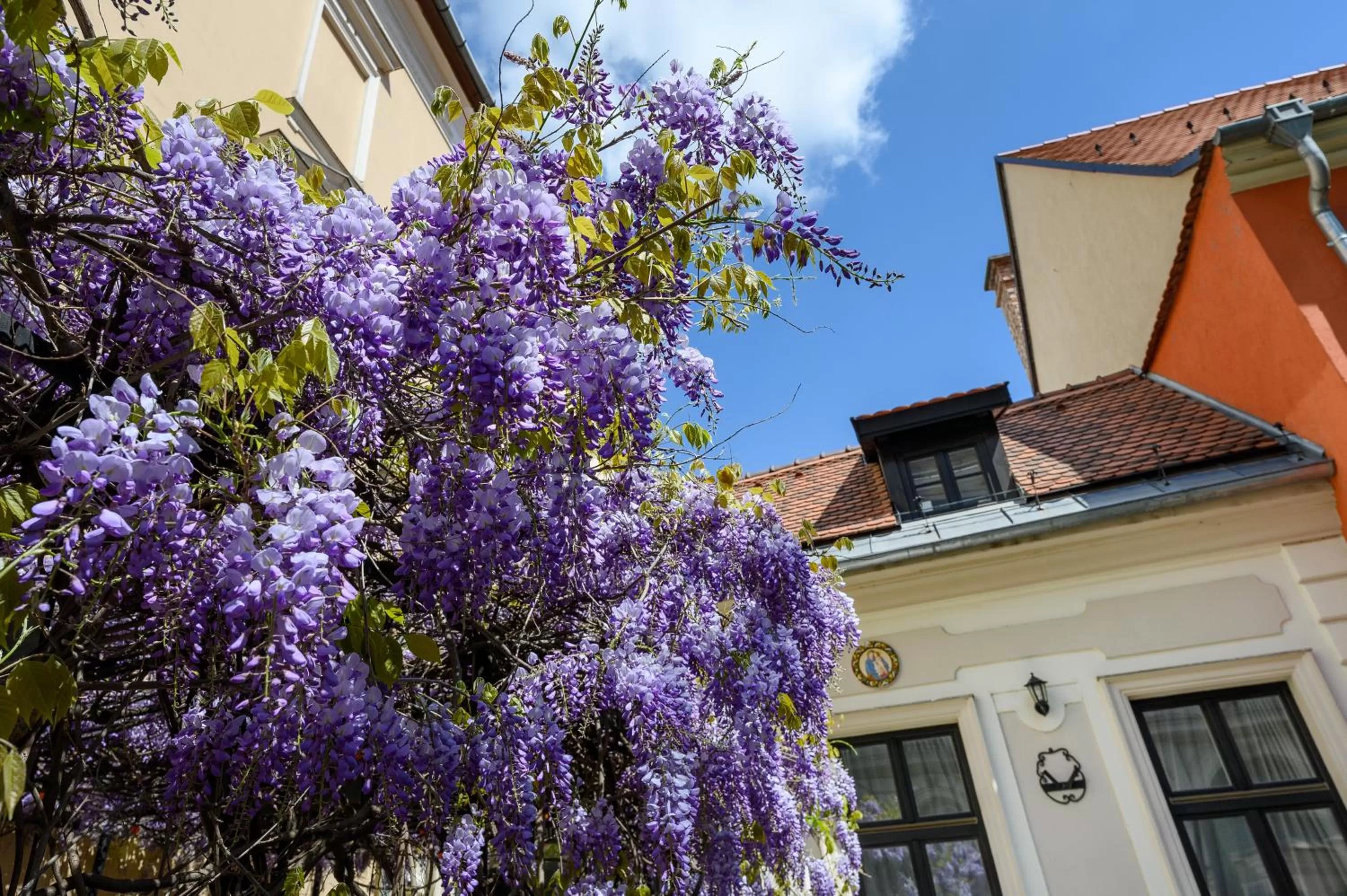 Property building in Maison Bistro & Hotel