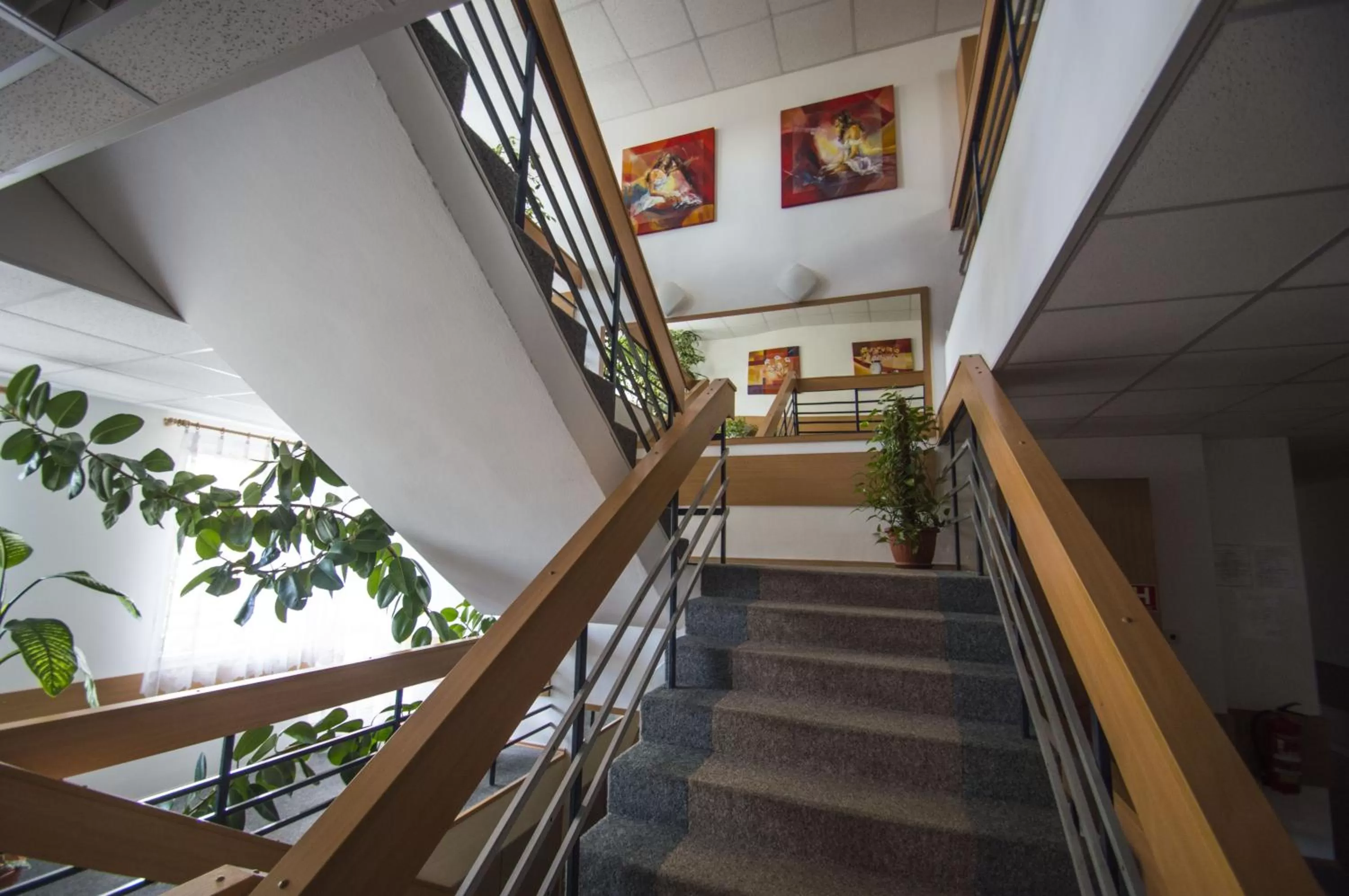 Area and facilities in Hotel Sport