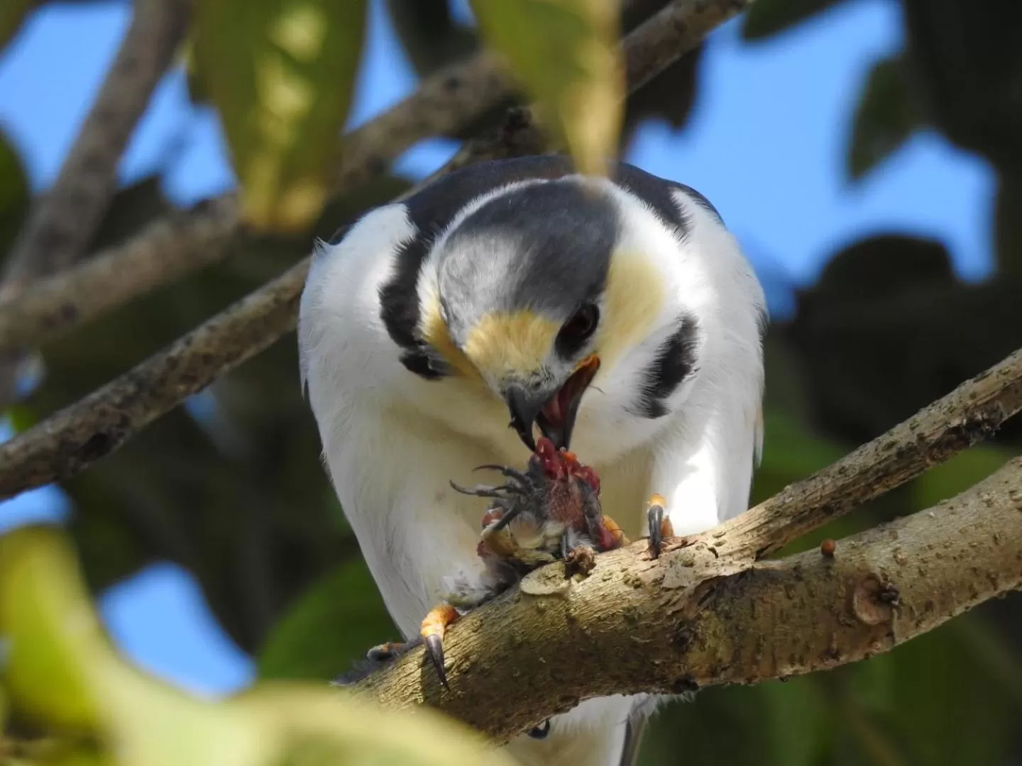 Off site in Hotel Zima