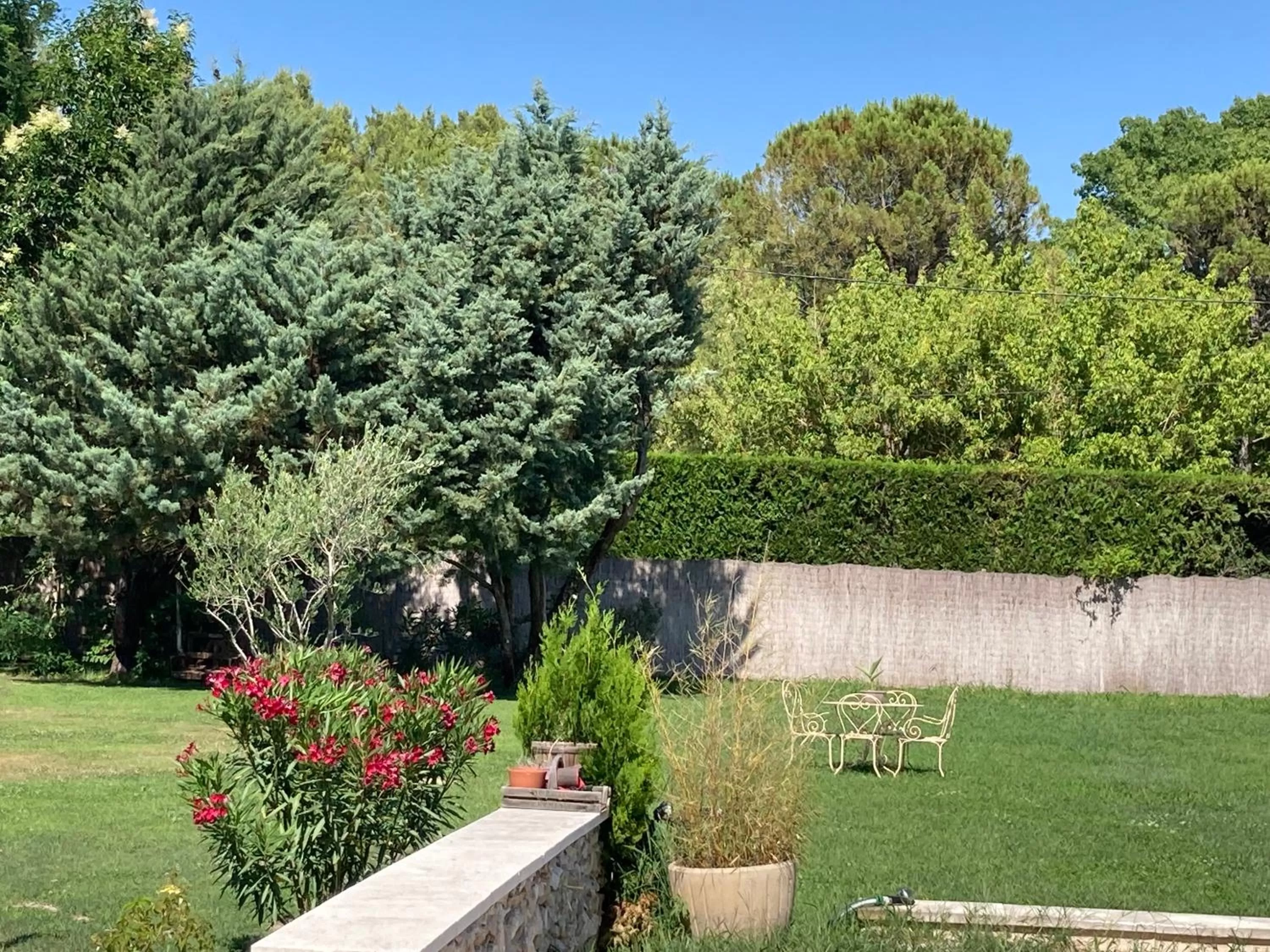 Day in Mas Galinette