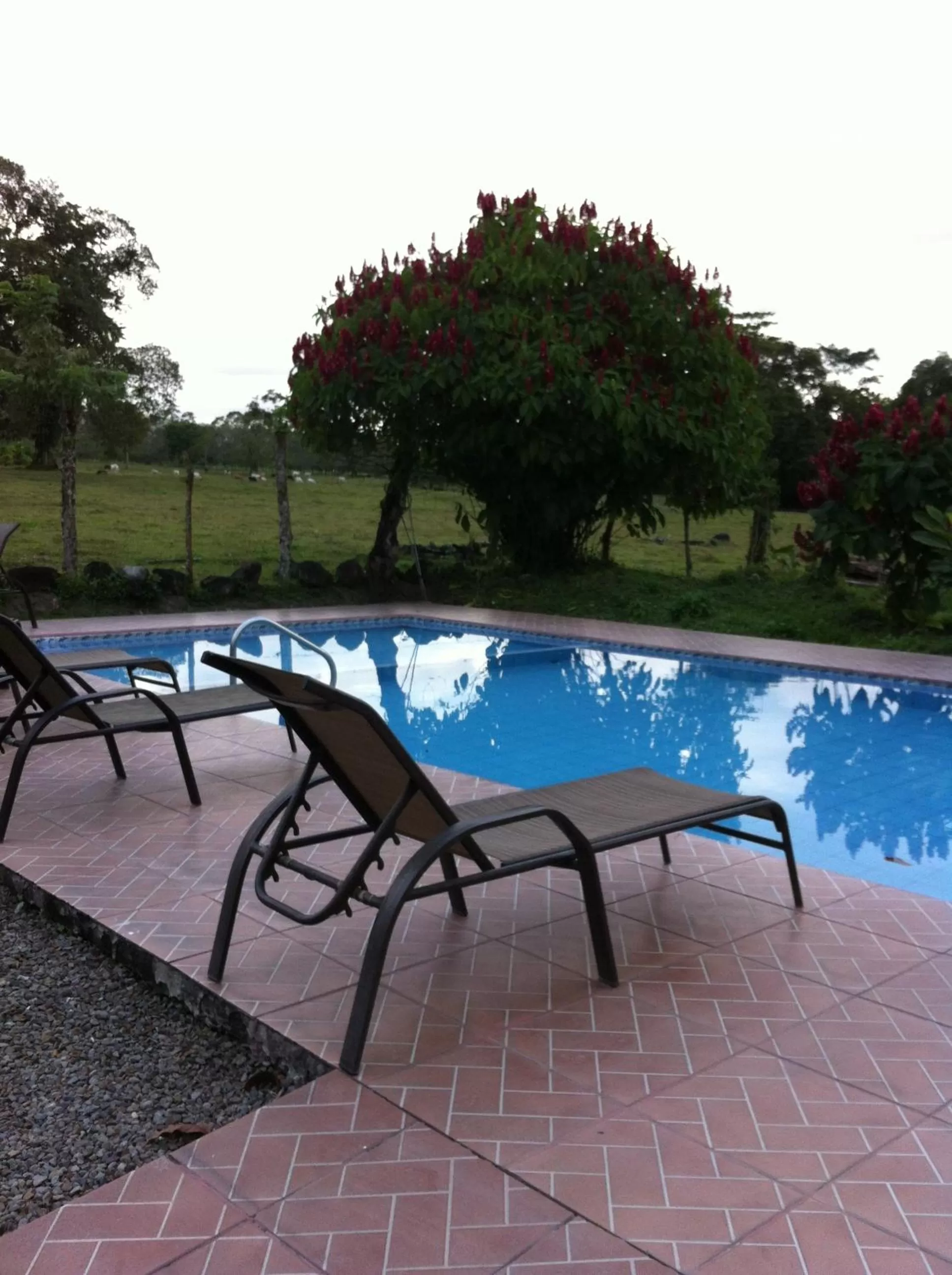 Swimming pool in Hotel Villas Vista Arenal