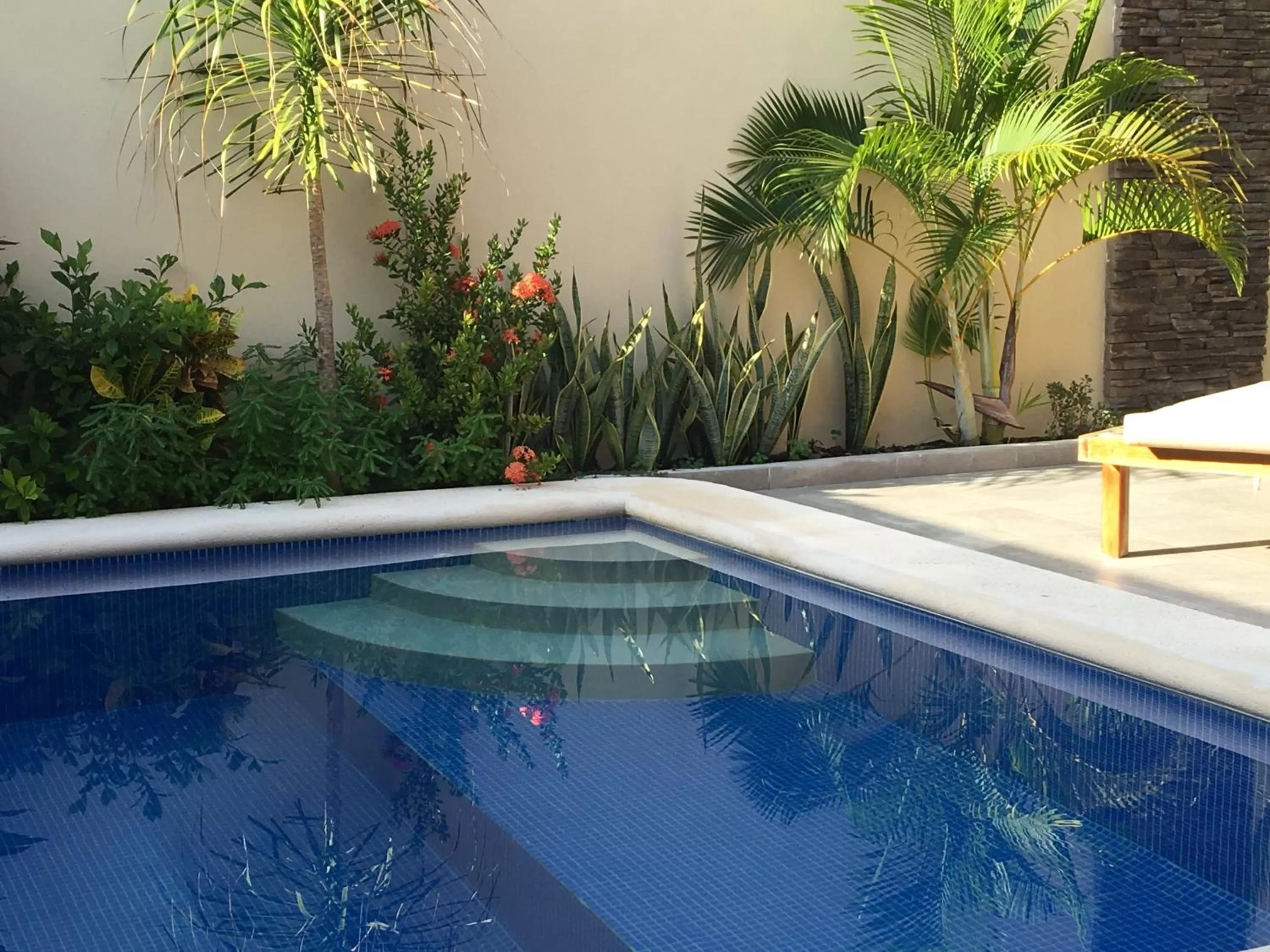 Garden, Swimming Pool in Basic Tulum