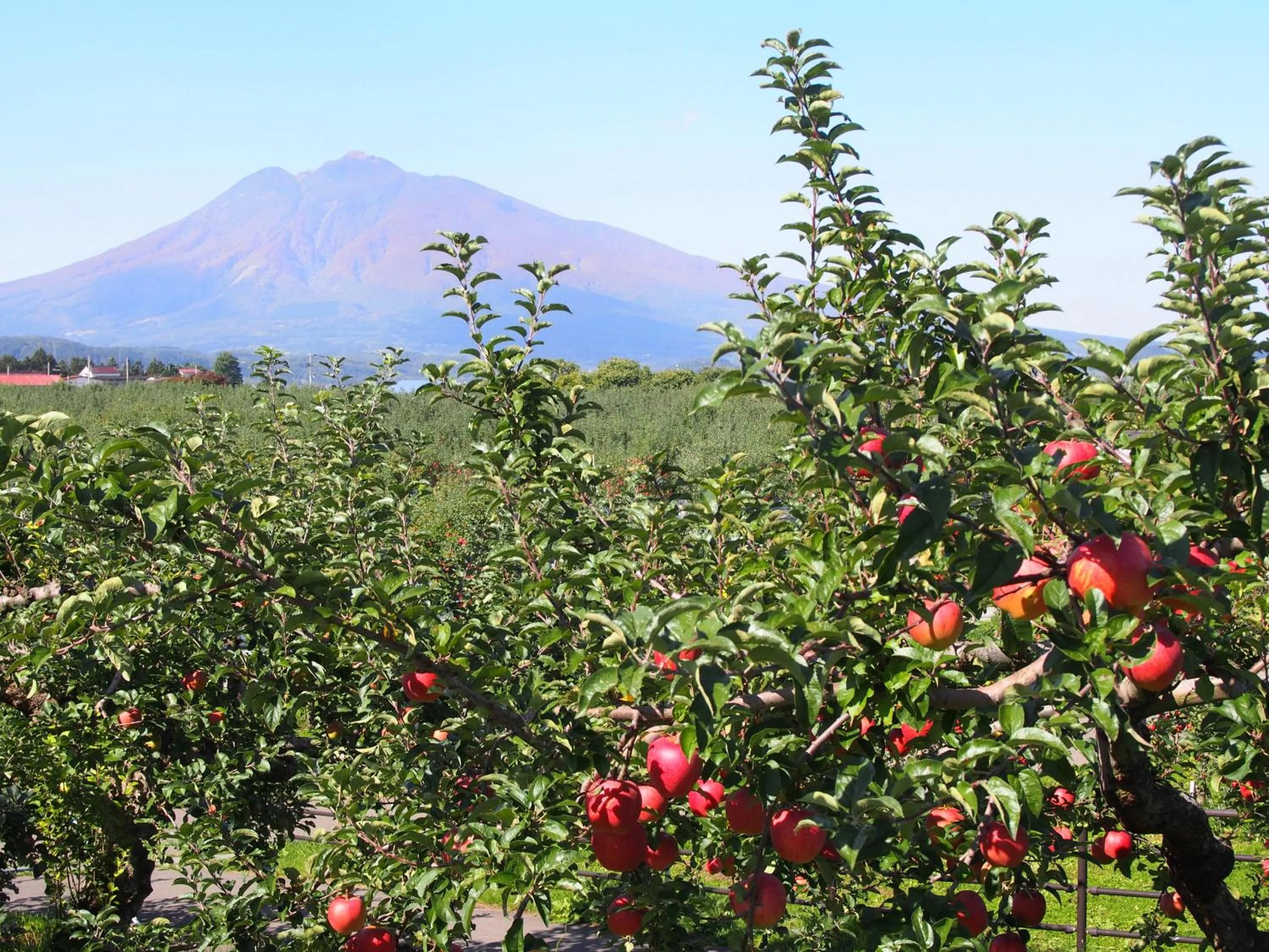 Natural landscape in Hirosaki Park Hotel