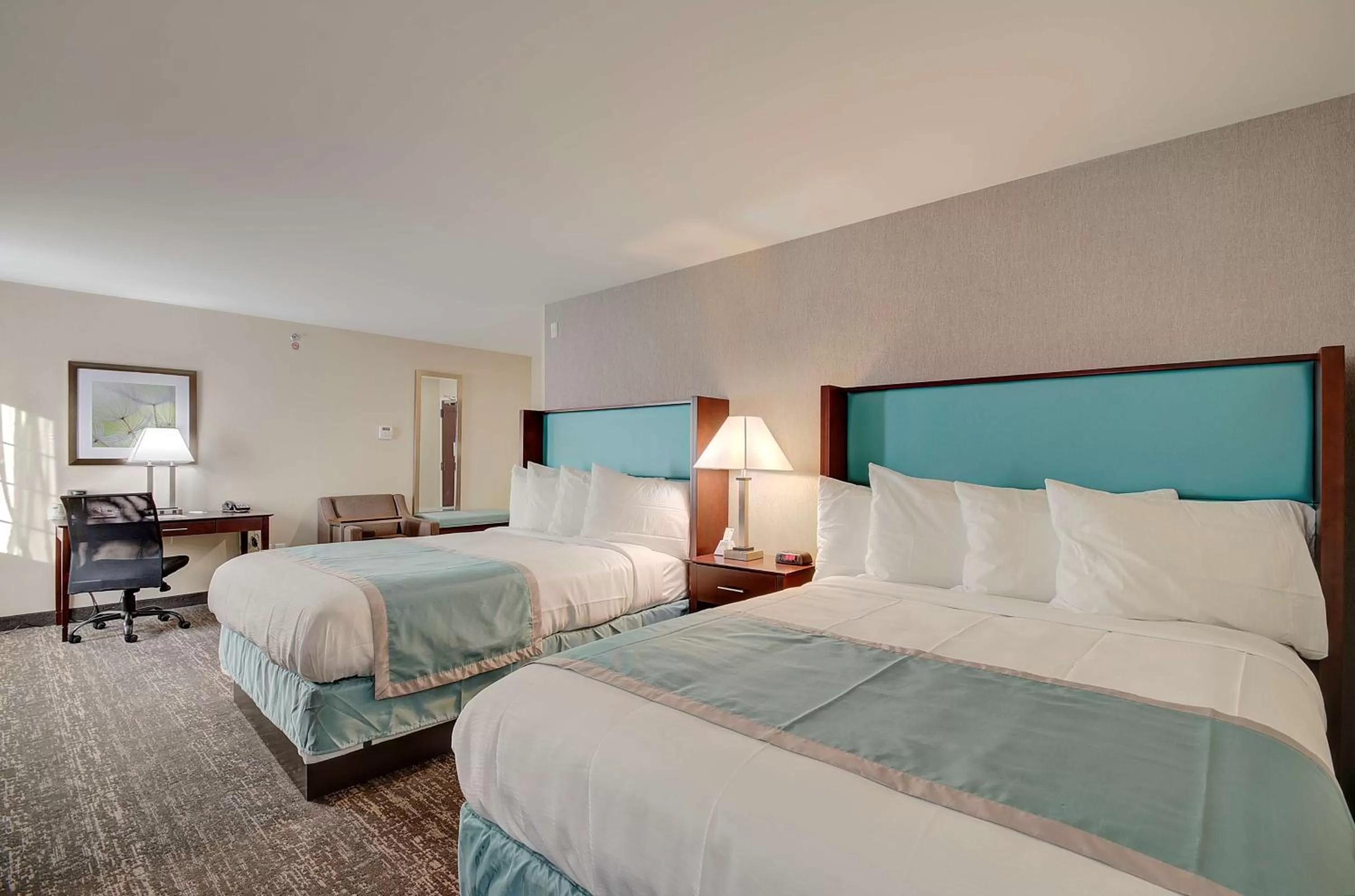 Photo of the whole room, Bed in Best Western Hampshire Inn & Suites