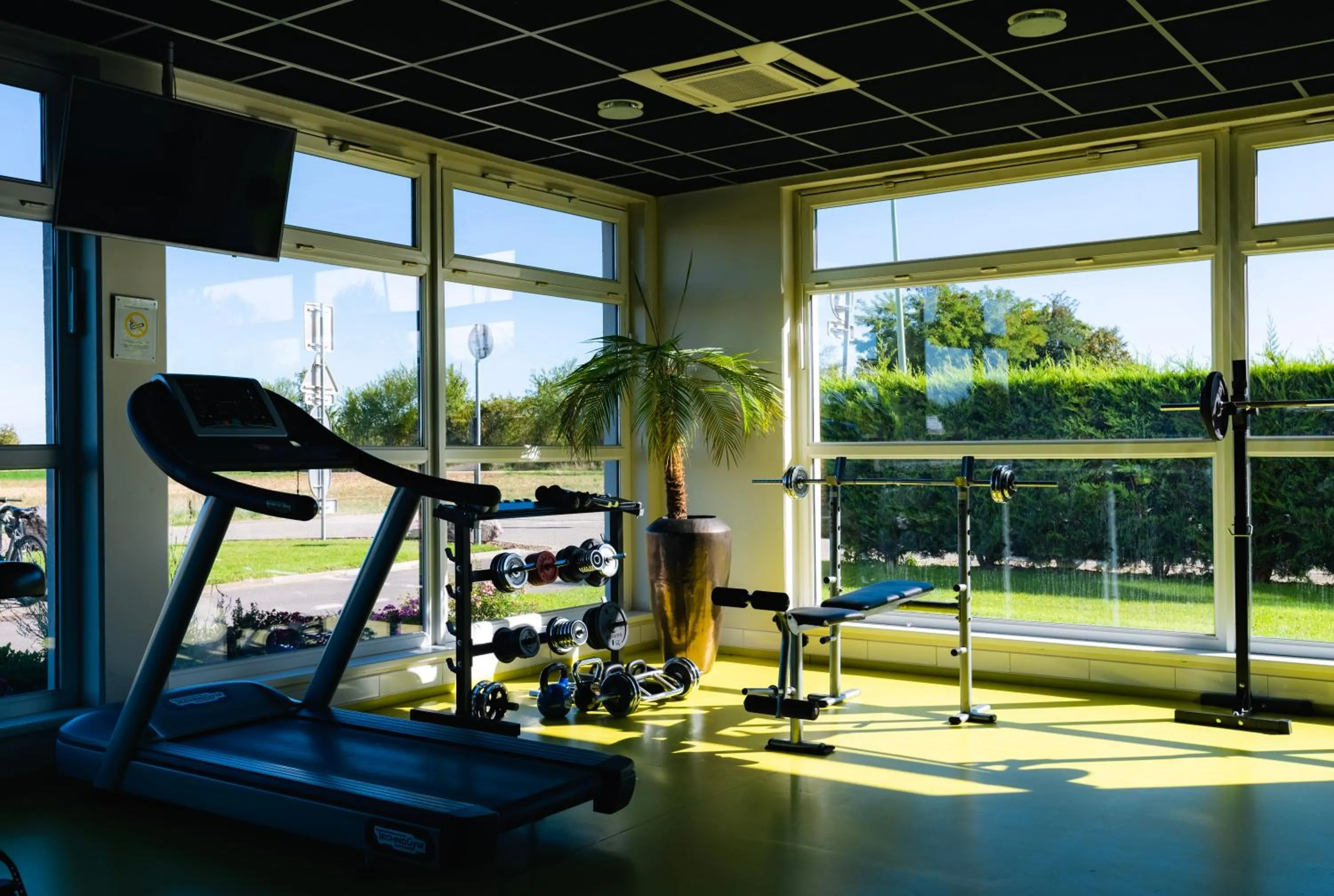 Fitness centre/facilities in Best Western Plus Hôtel Le Rhénan & Restaurant Chez Claude