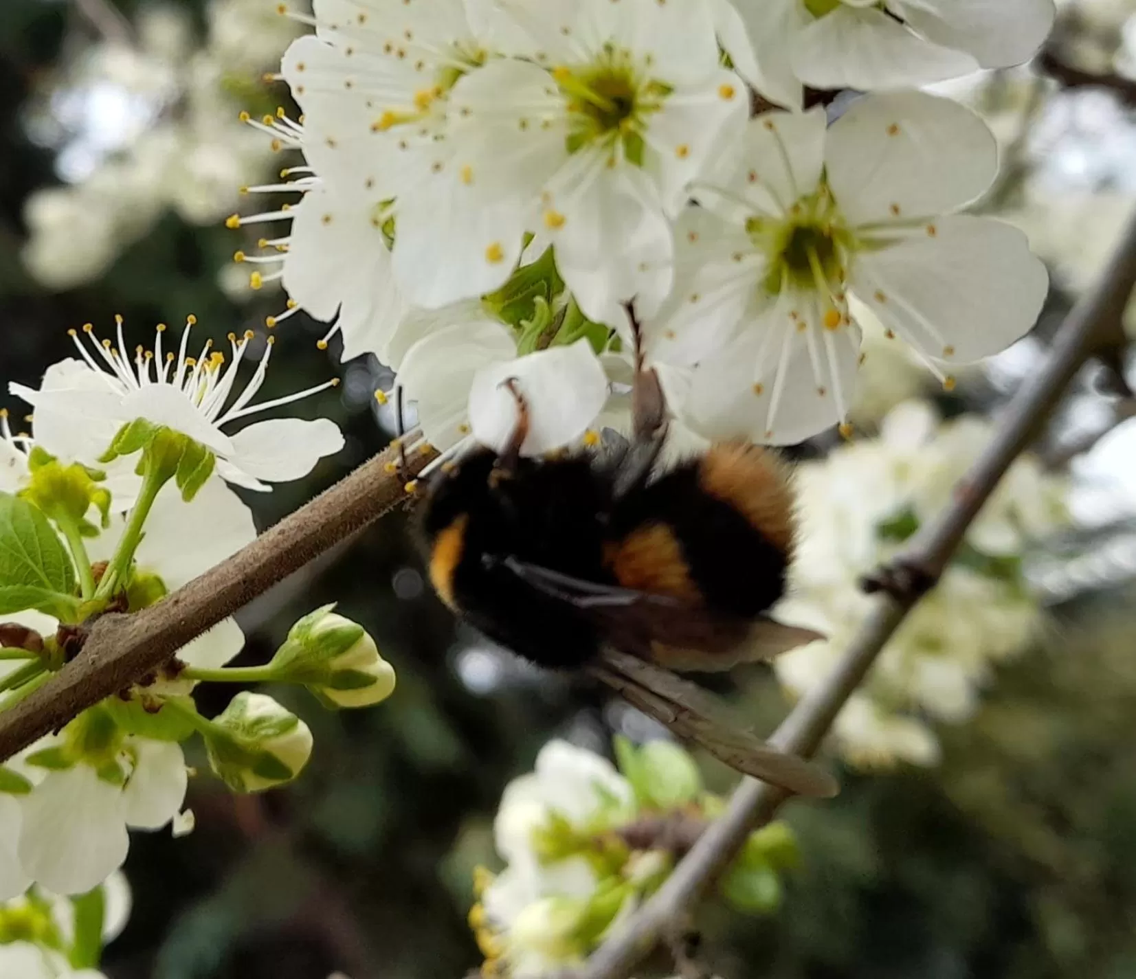 Hillside Bed and Breakfast