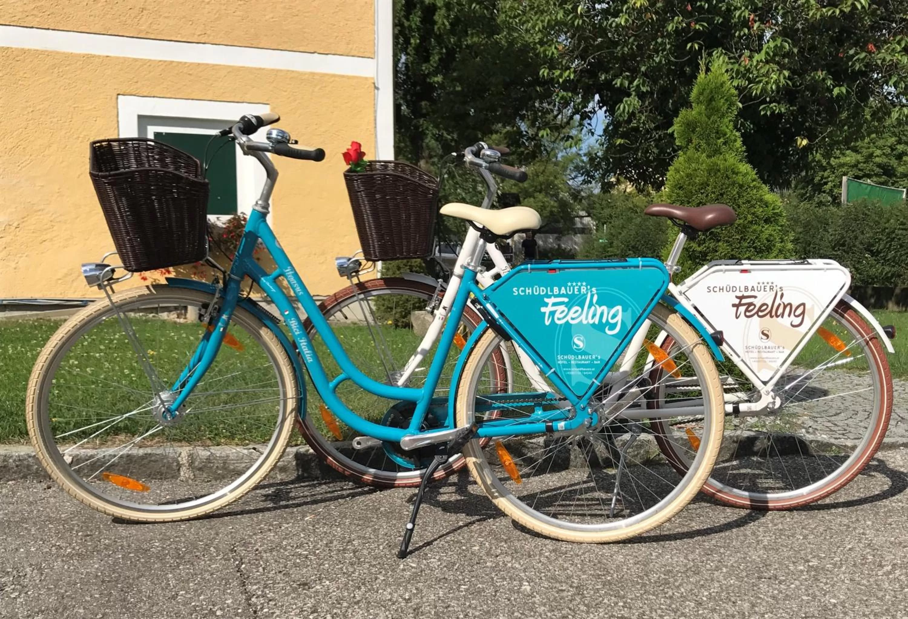 Cycling in Schüdlbauer´s Hotel-Restaurant-Bar