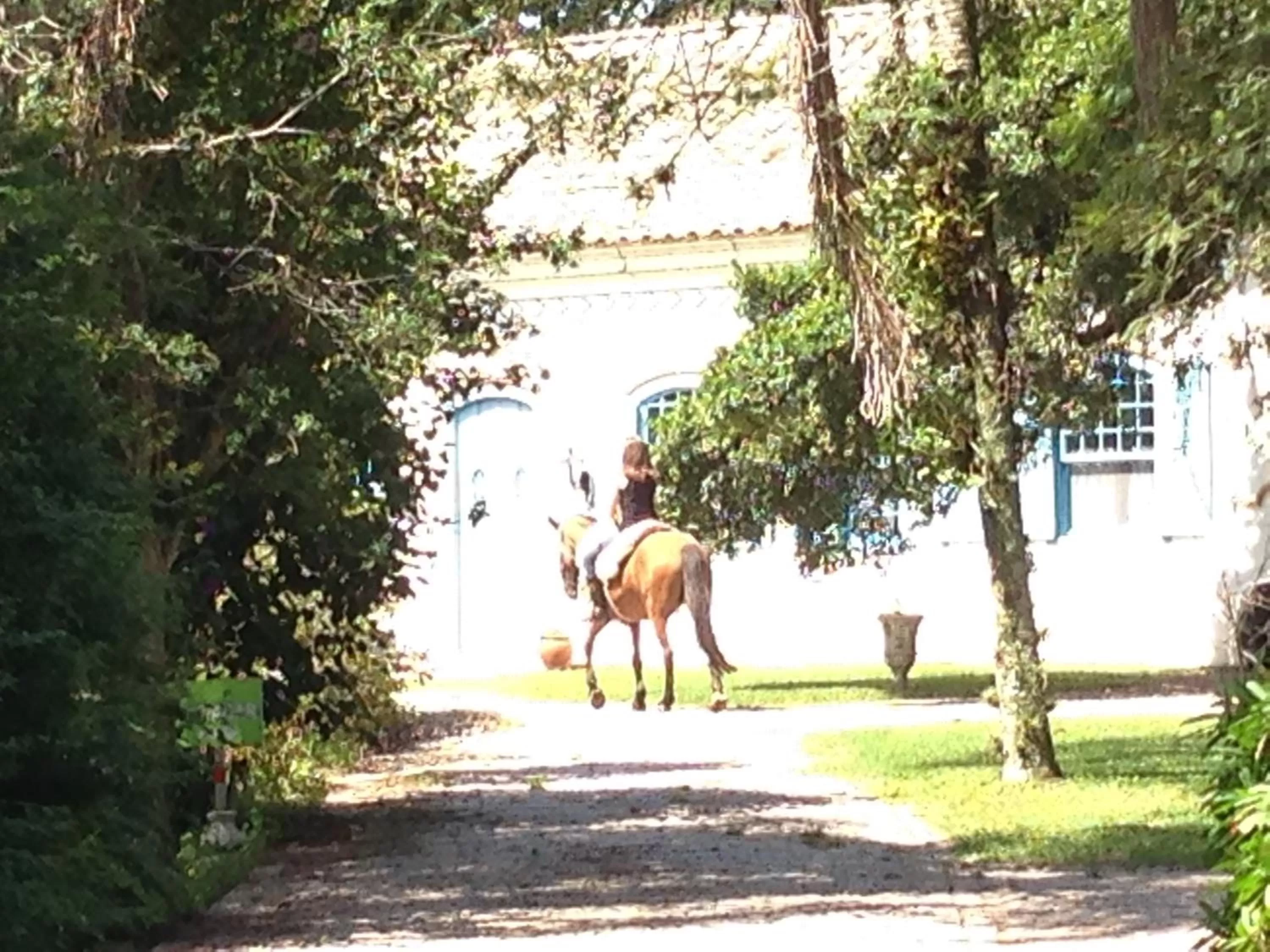 Facade/entrance in Charqueada Santa Rita Pousada de Charme