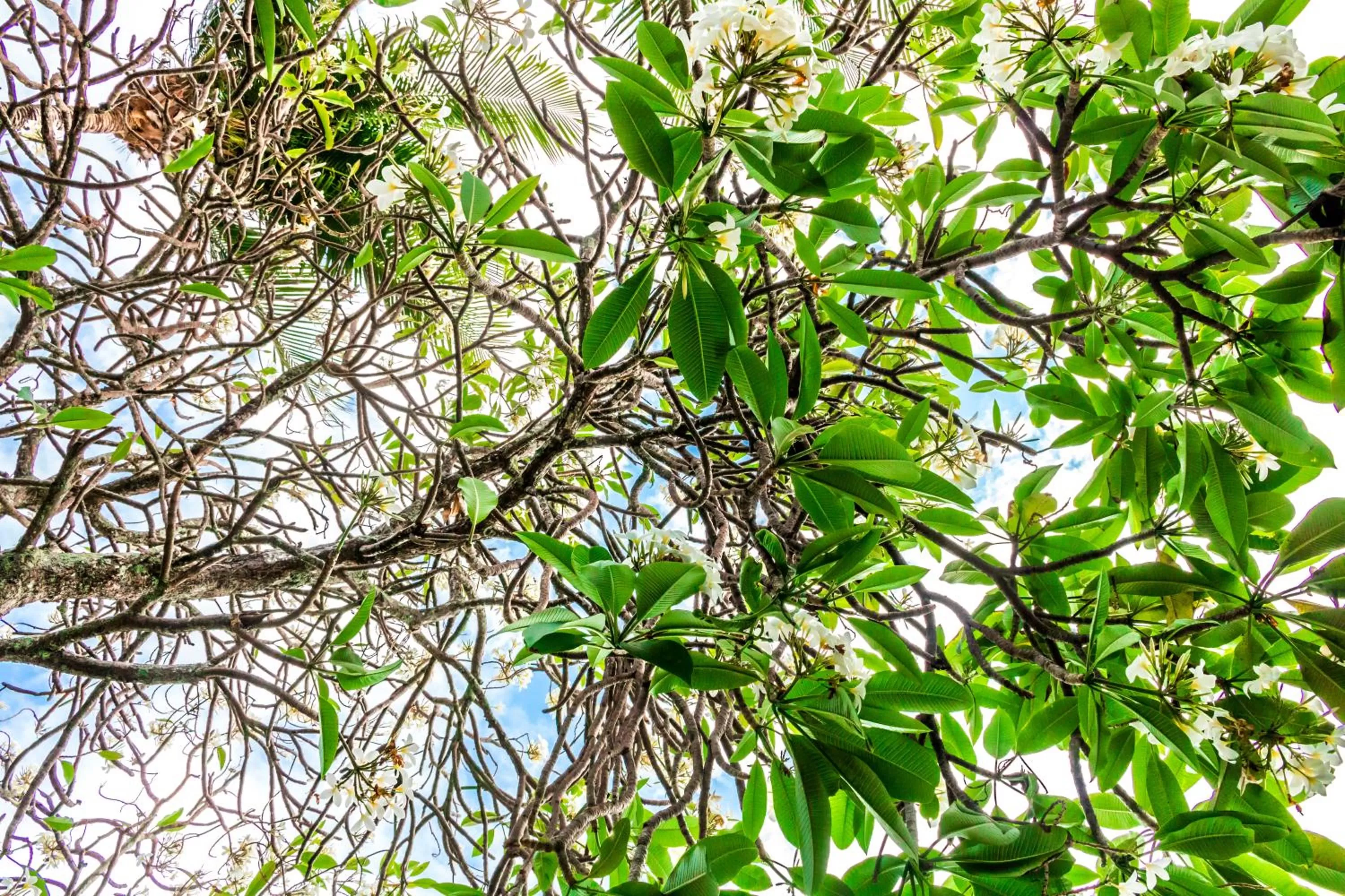 Day in Farol de Itapuã Praia Hotel