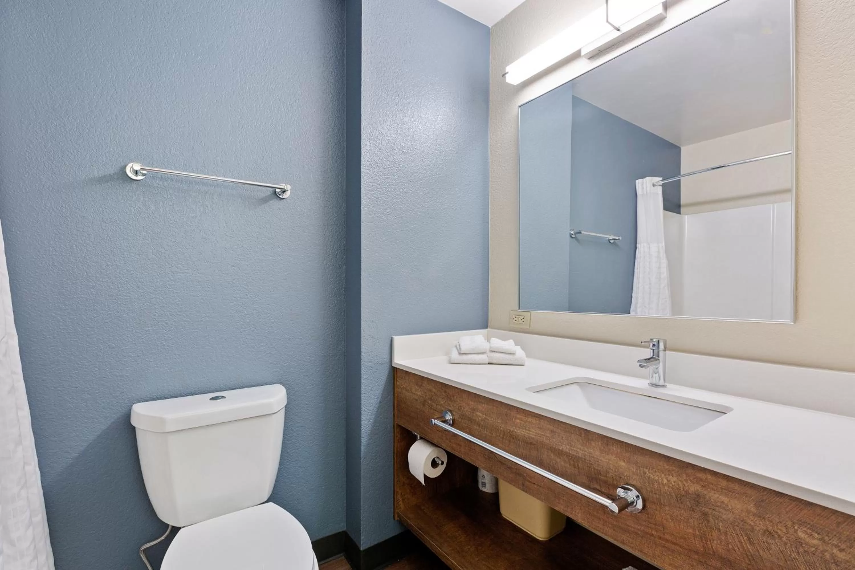 Bathroom in Extended Stay America Premier Suites - Union City - Dyer St