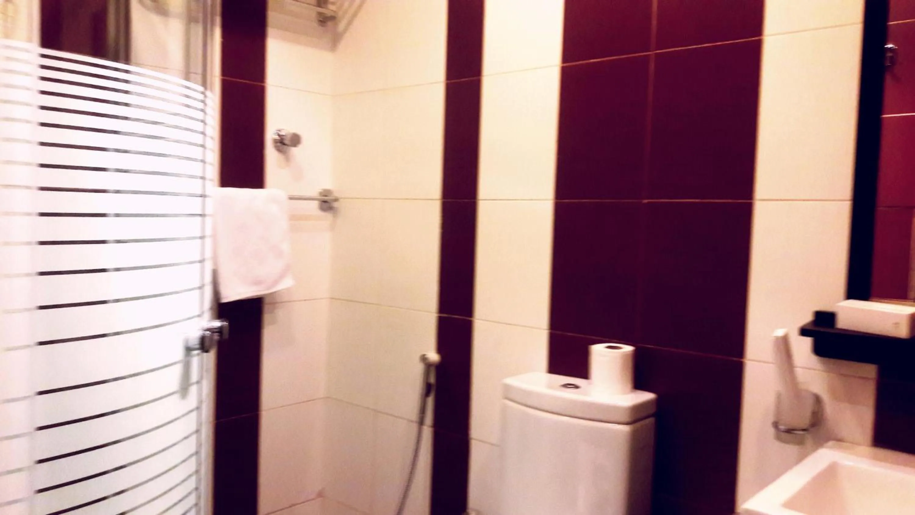 Bathroom in فندق حديقة الأزهار