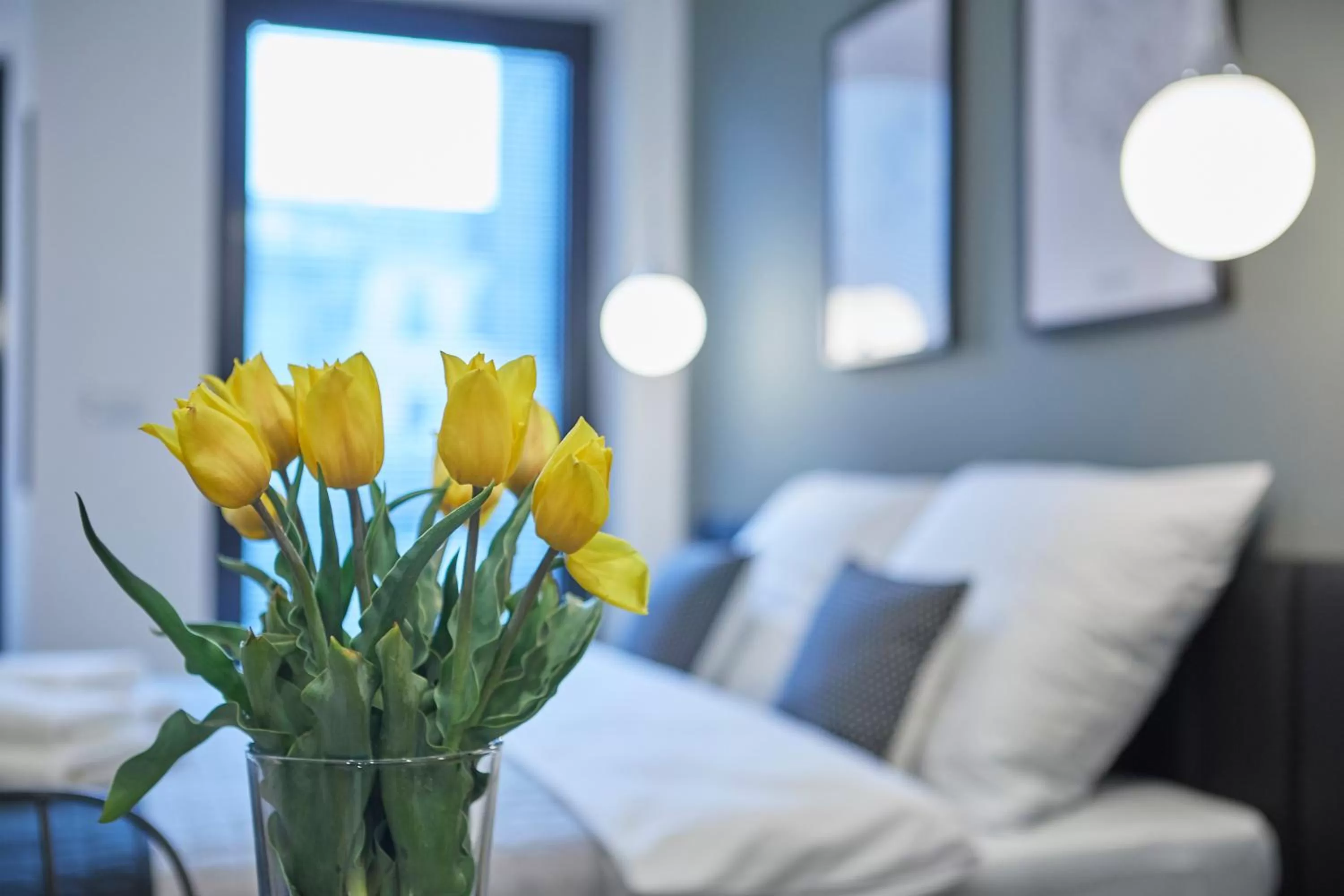 Photo of the whole room, Bed in RAJSKA 3 by PI Apartments