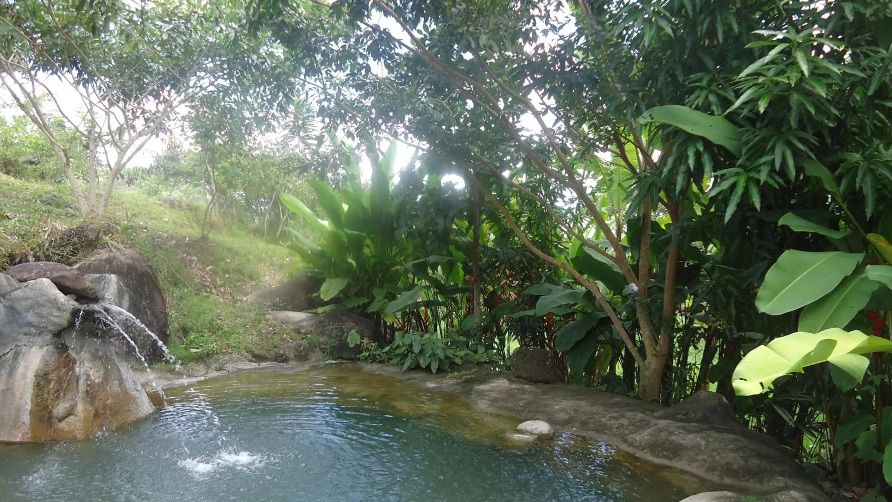 Swimming pool in Pousada Aba da Serra
