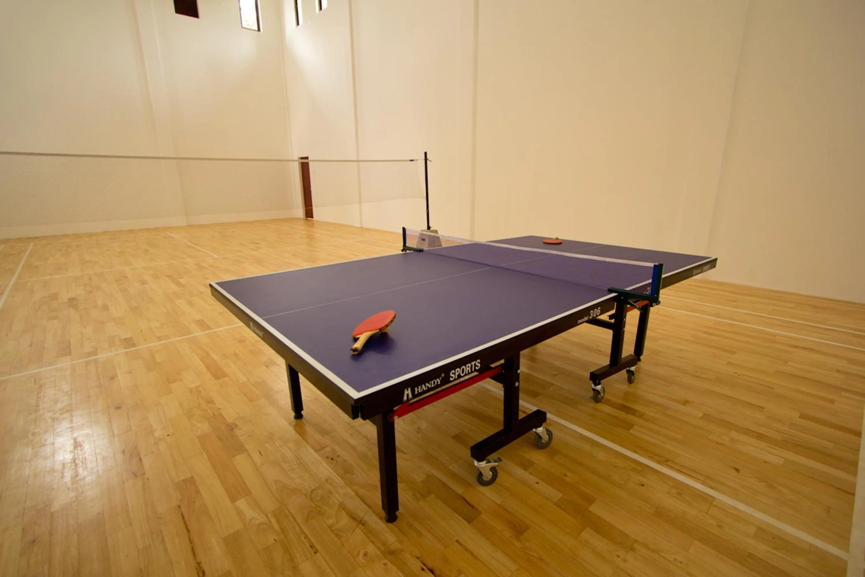 Table tennis in Randholee Resort & Spa