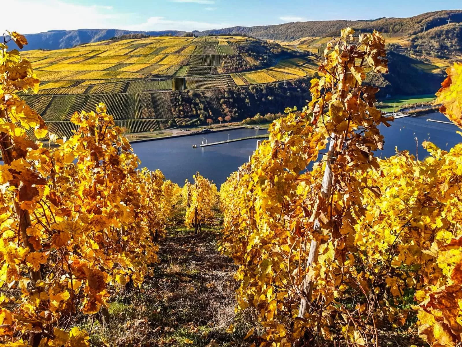 Staff in Moselhaus Weiskopf