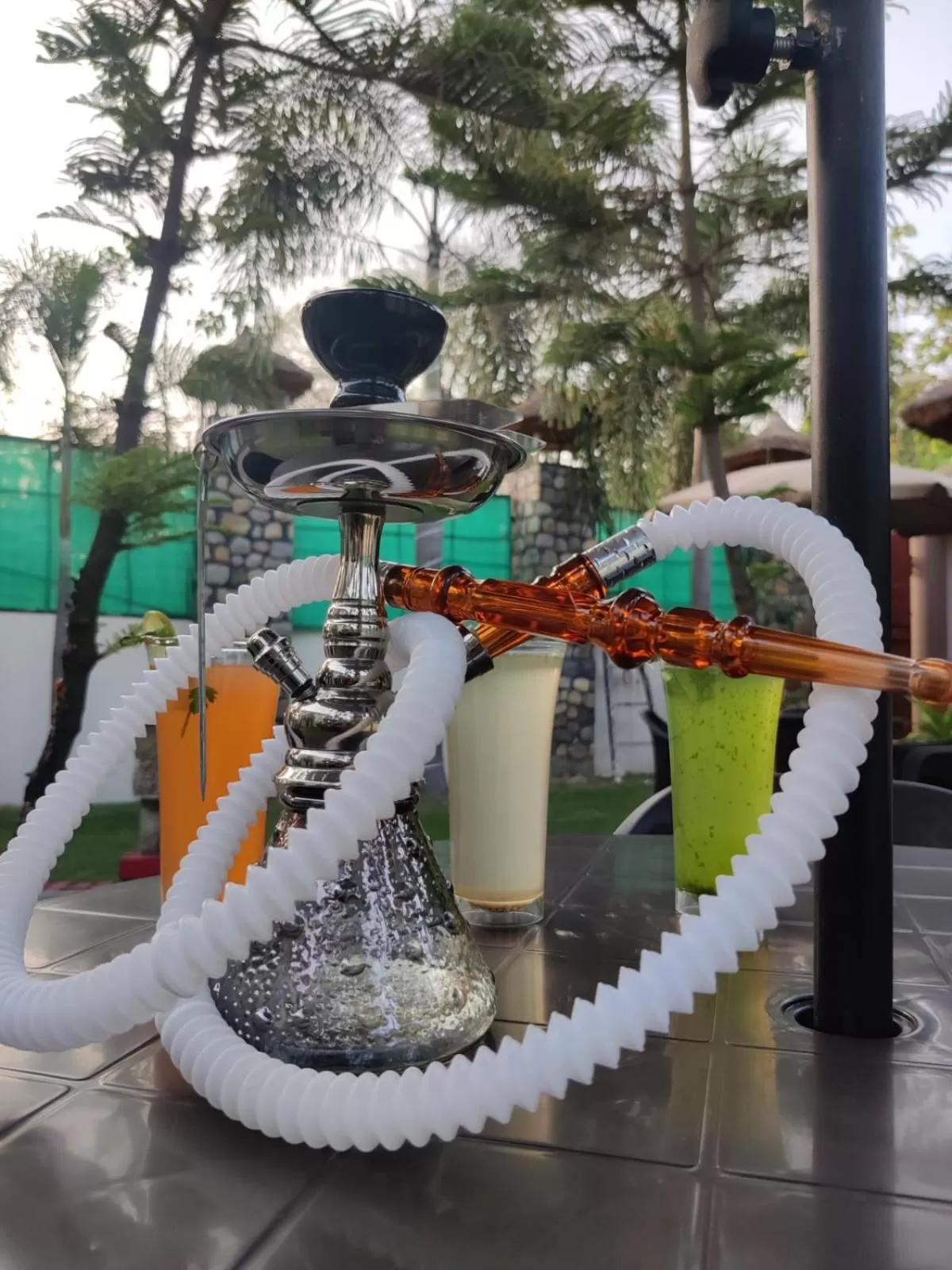 Restaurant/places to eat, Other Activities in The Corbett Jungle By JitaInn