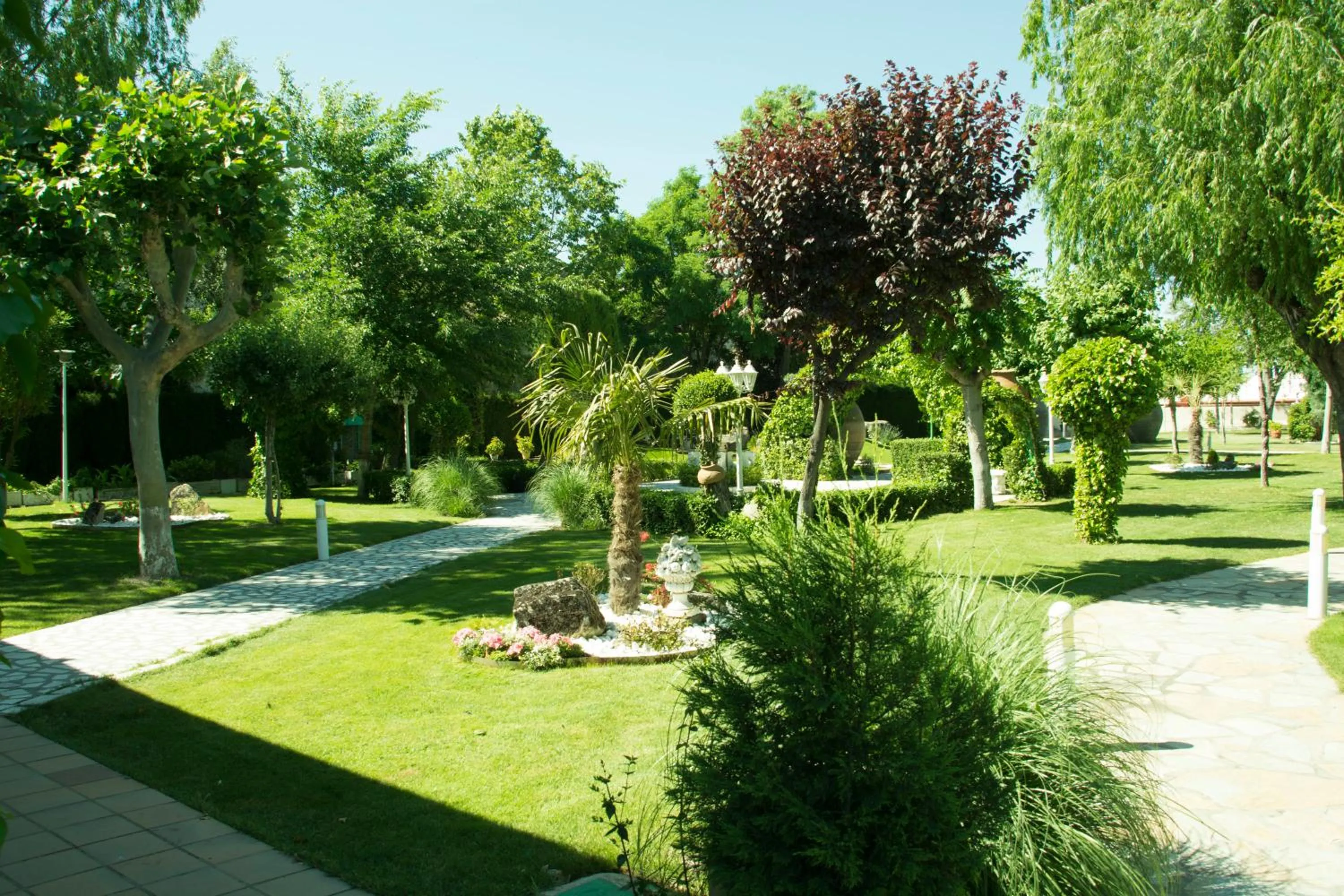 Garden in Hotel Complejo París