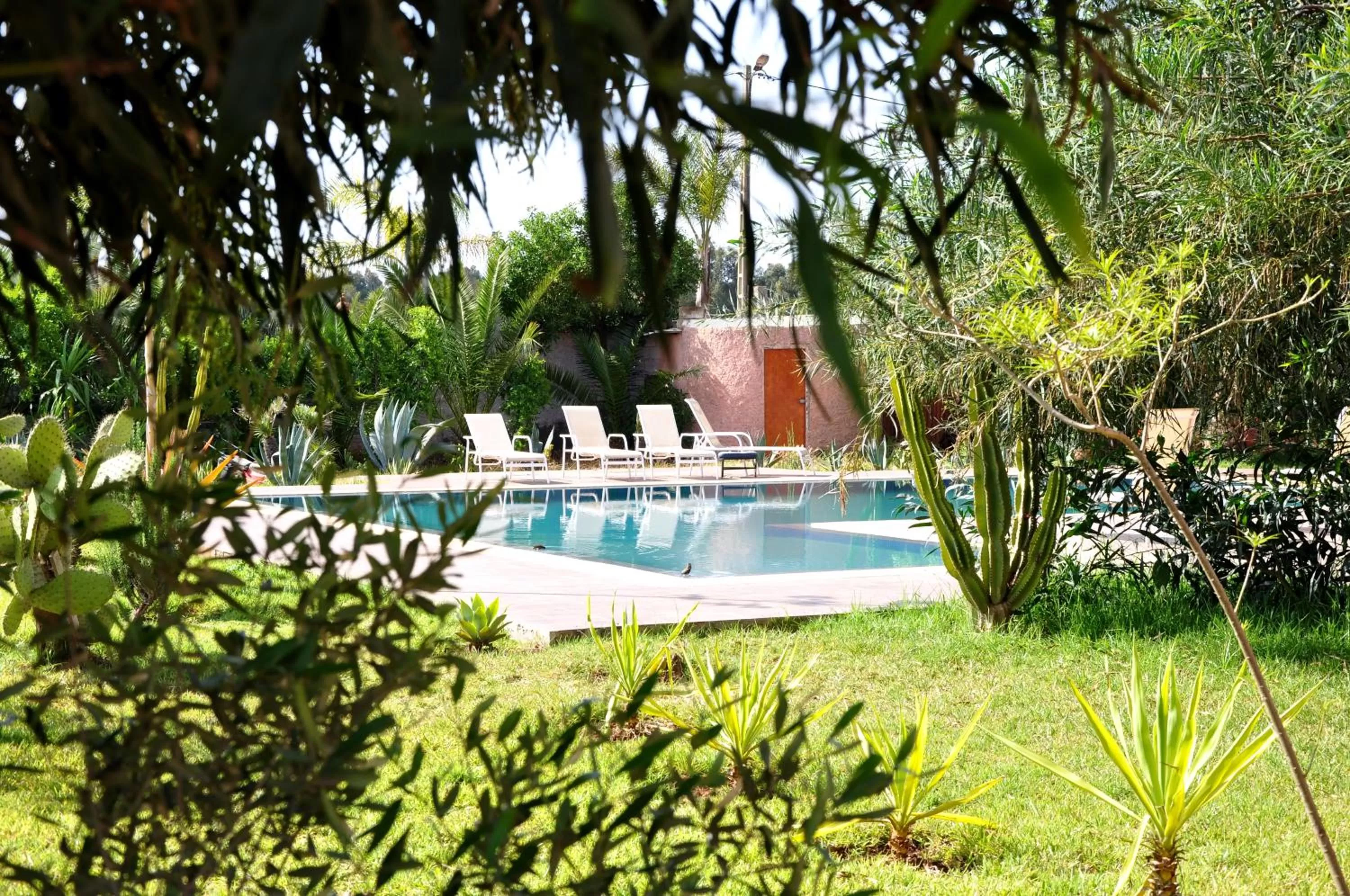 Swimming pool in Riad Hamdani