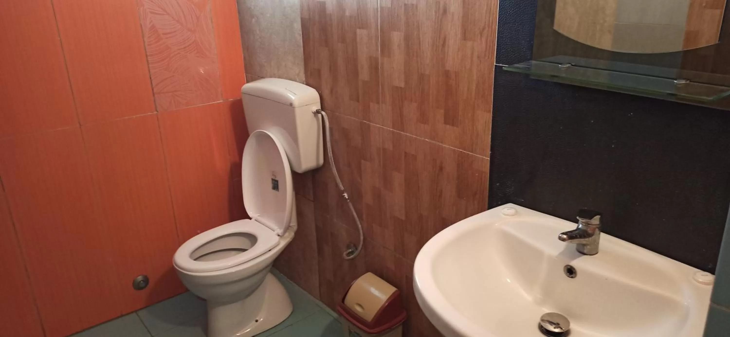 Maxola's Dream Orikum