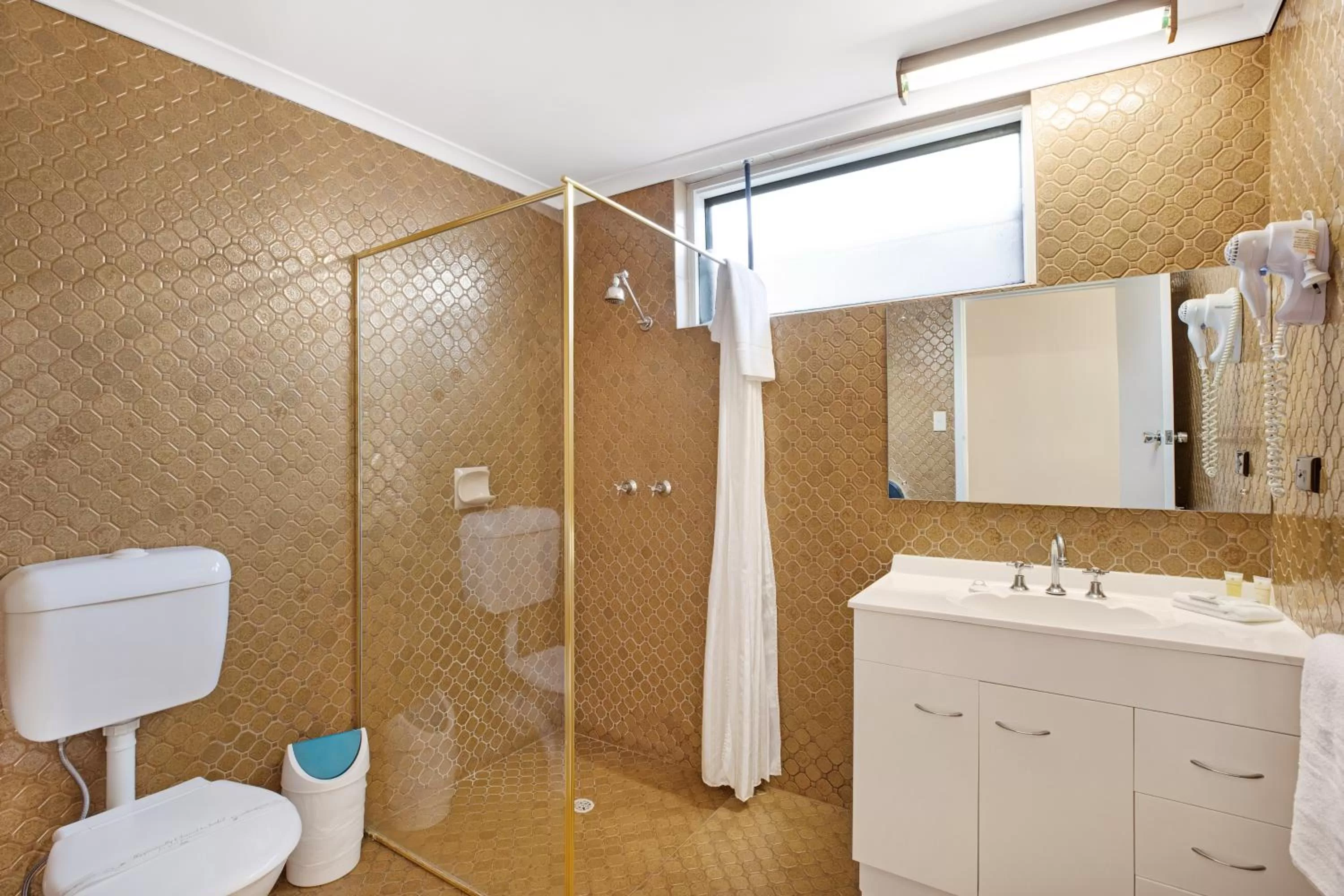 Bathroom in Adelaide Road Motor Lodge