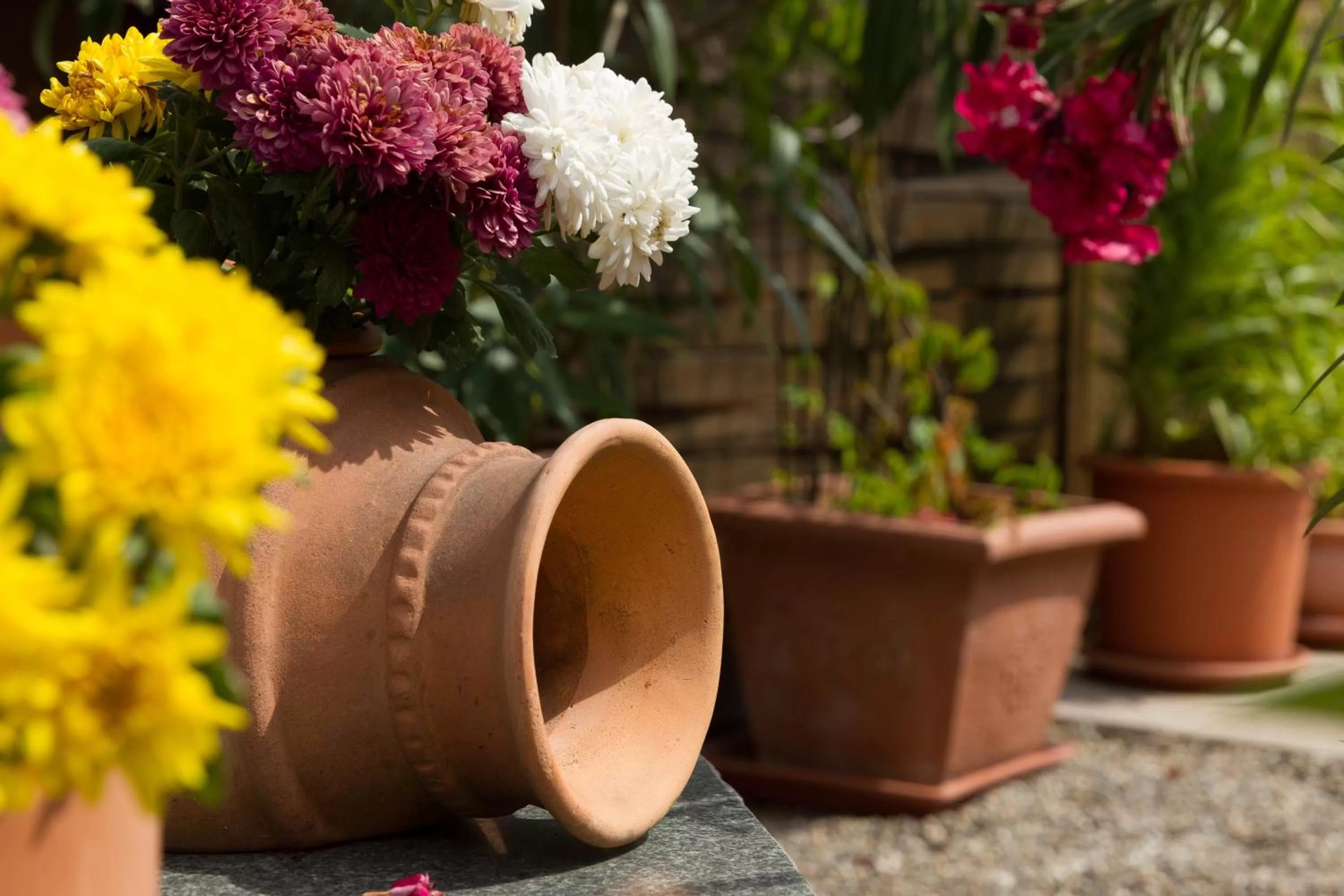 Balcony/Terrace in Tuniberg Restaurant Hotel