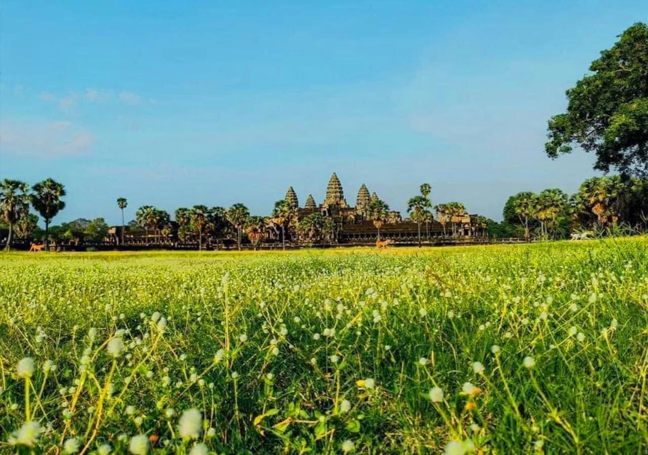 Natural landscape in Ladear Privilege Rooms