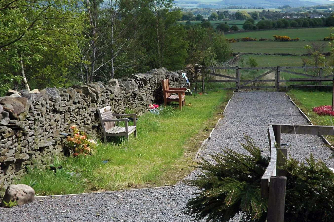 Property building in Deneview